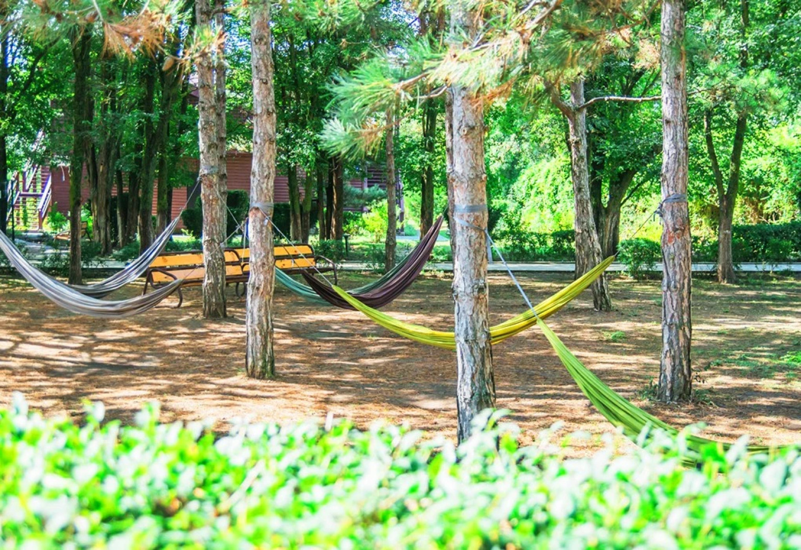 Солнечная Долина