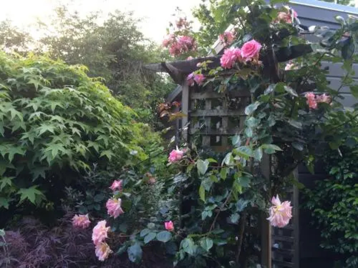 Firth Street Mews B&B