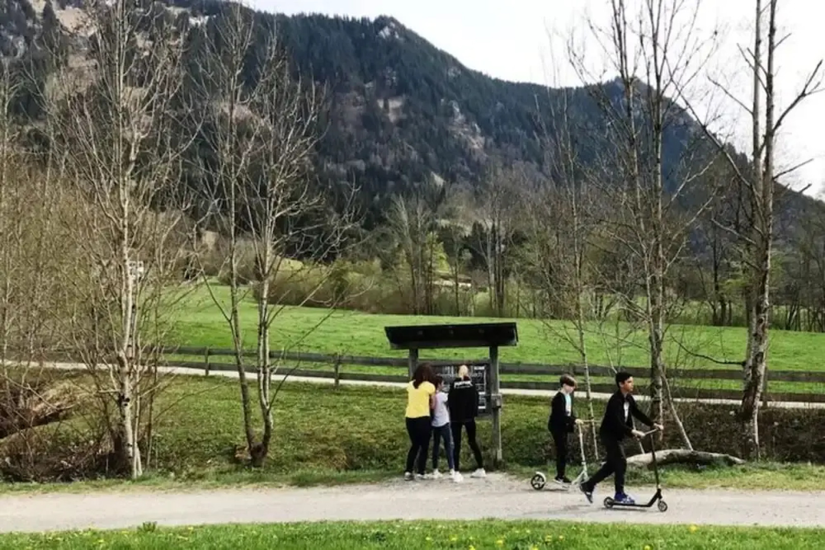 Holiday Apartment Allgauer Alpenblick