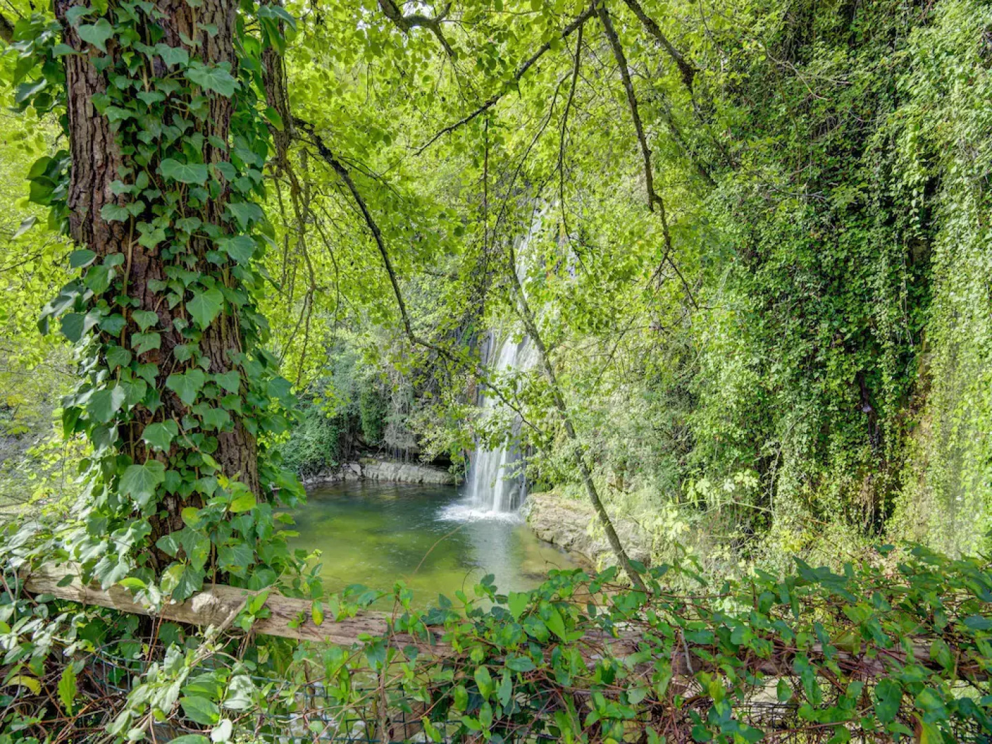 Family Mill Stay With BBQ