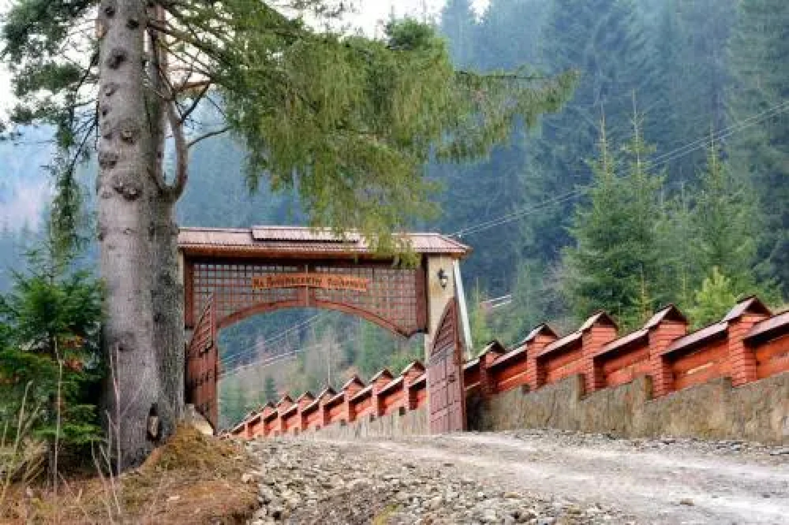 Sadyba na Gutsulsky Polonyni