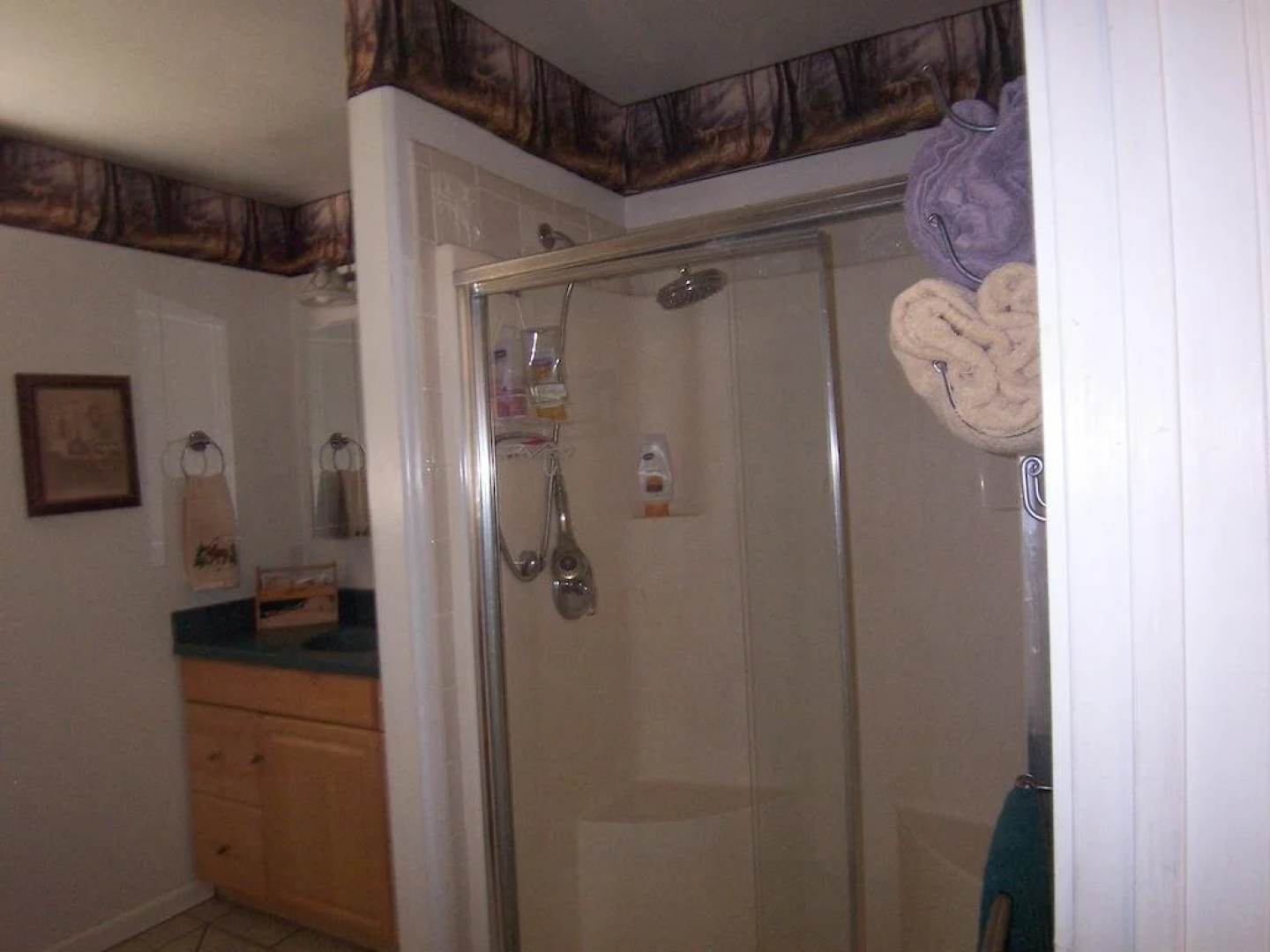 Elktrace Bed & Breakfast