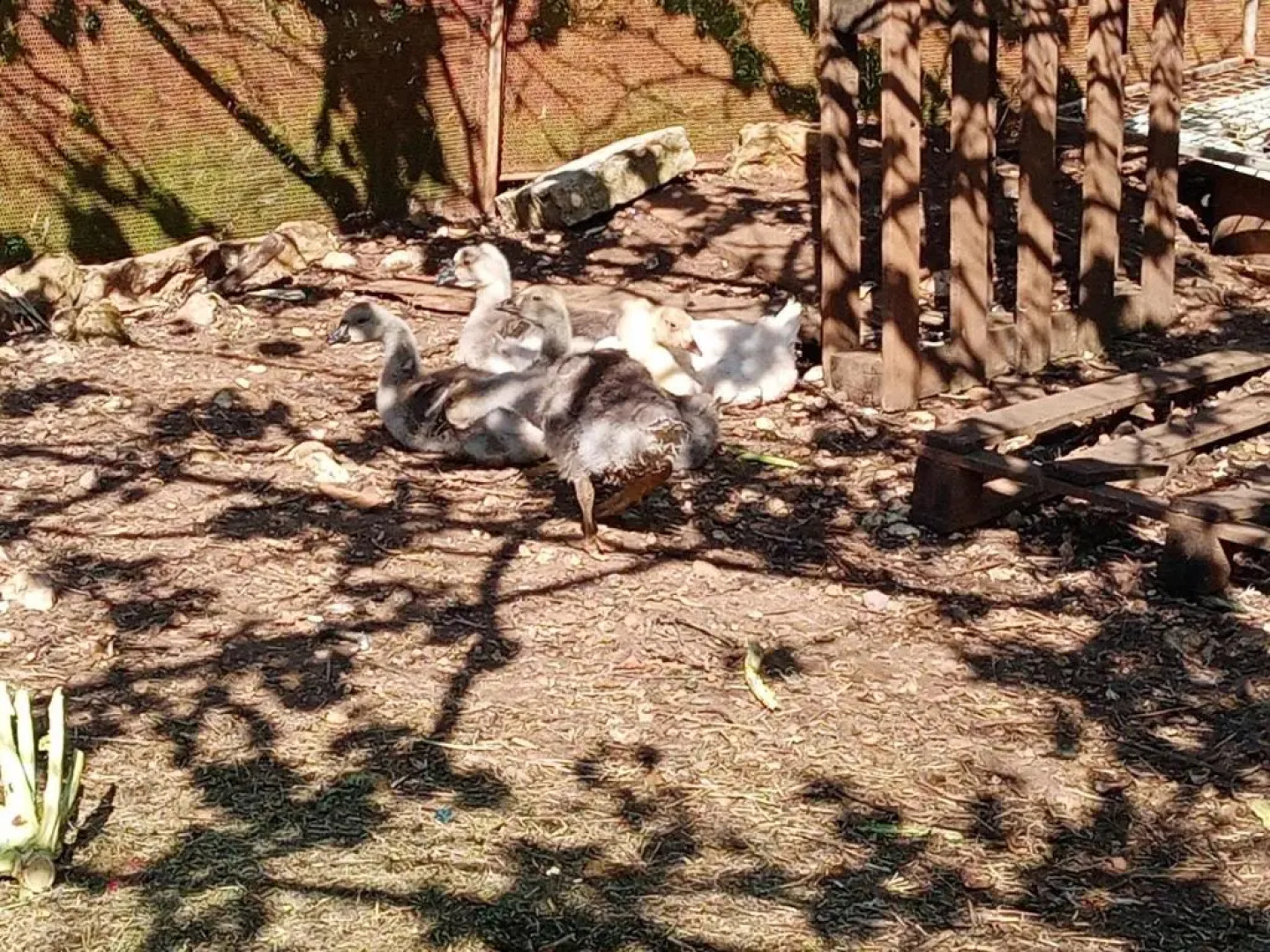 Azienda Agricola 25 Ponti