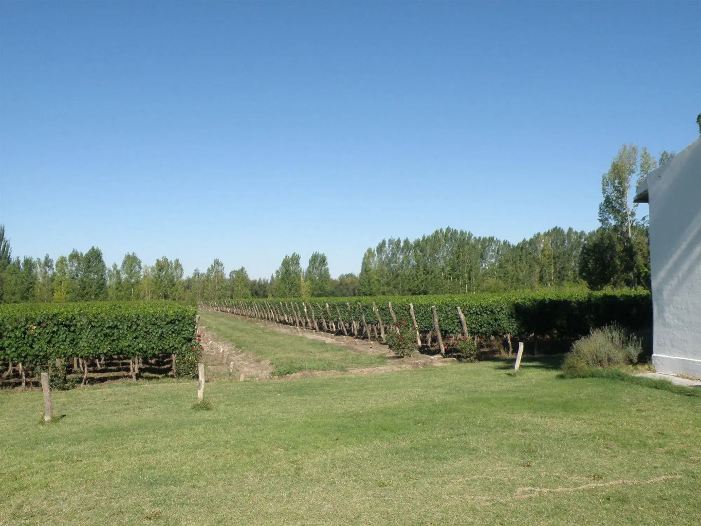 Postales Hotel Boutique Valle De Uco