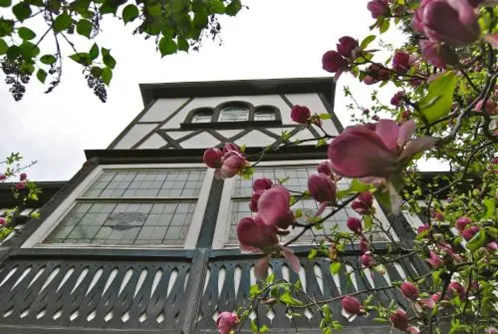 Gîte Les Deux Hêtres