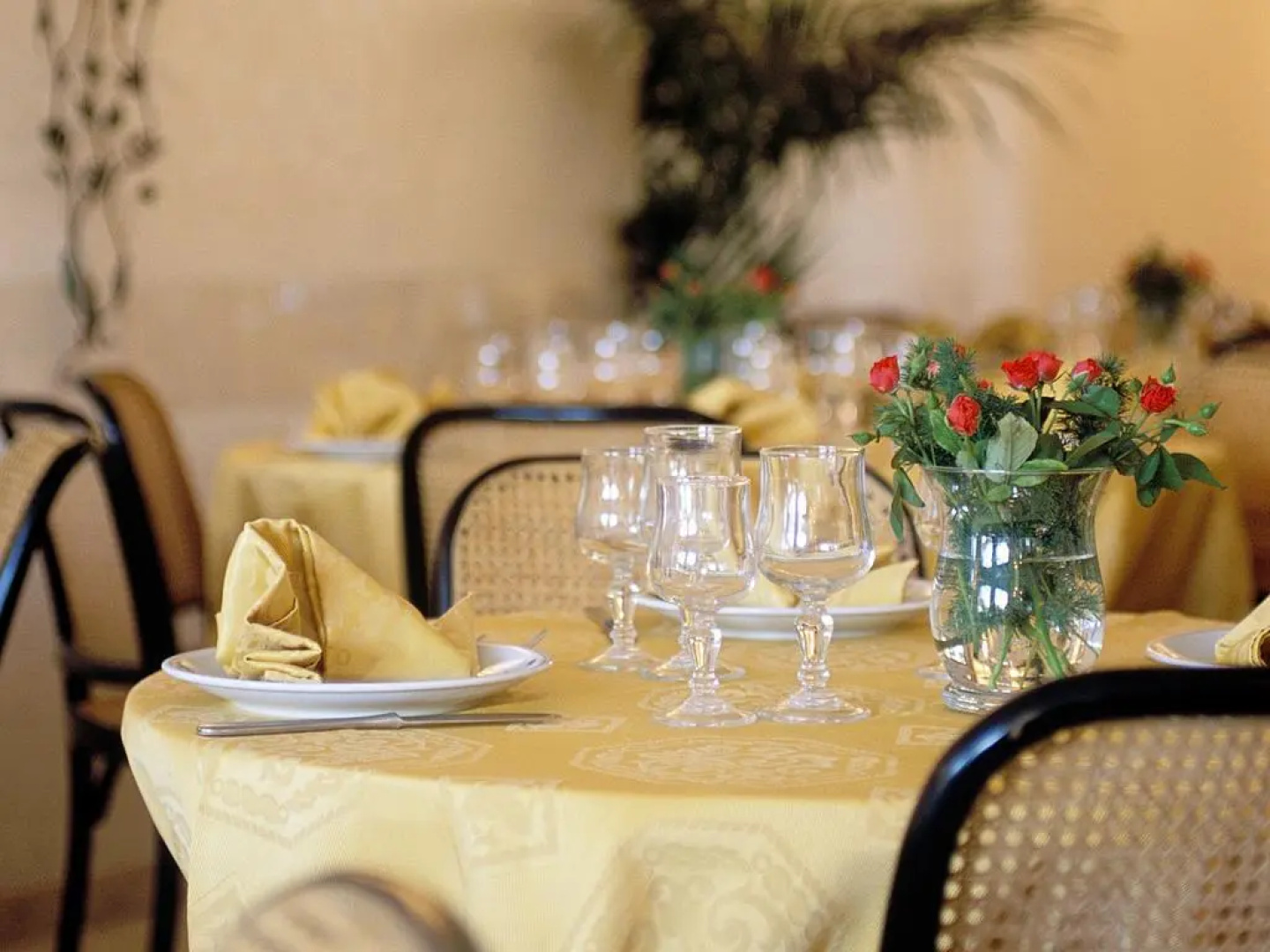 Hotel Albatros