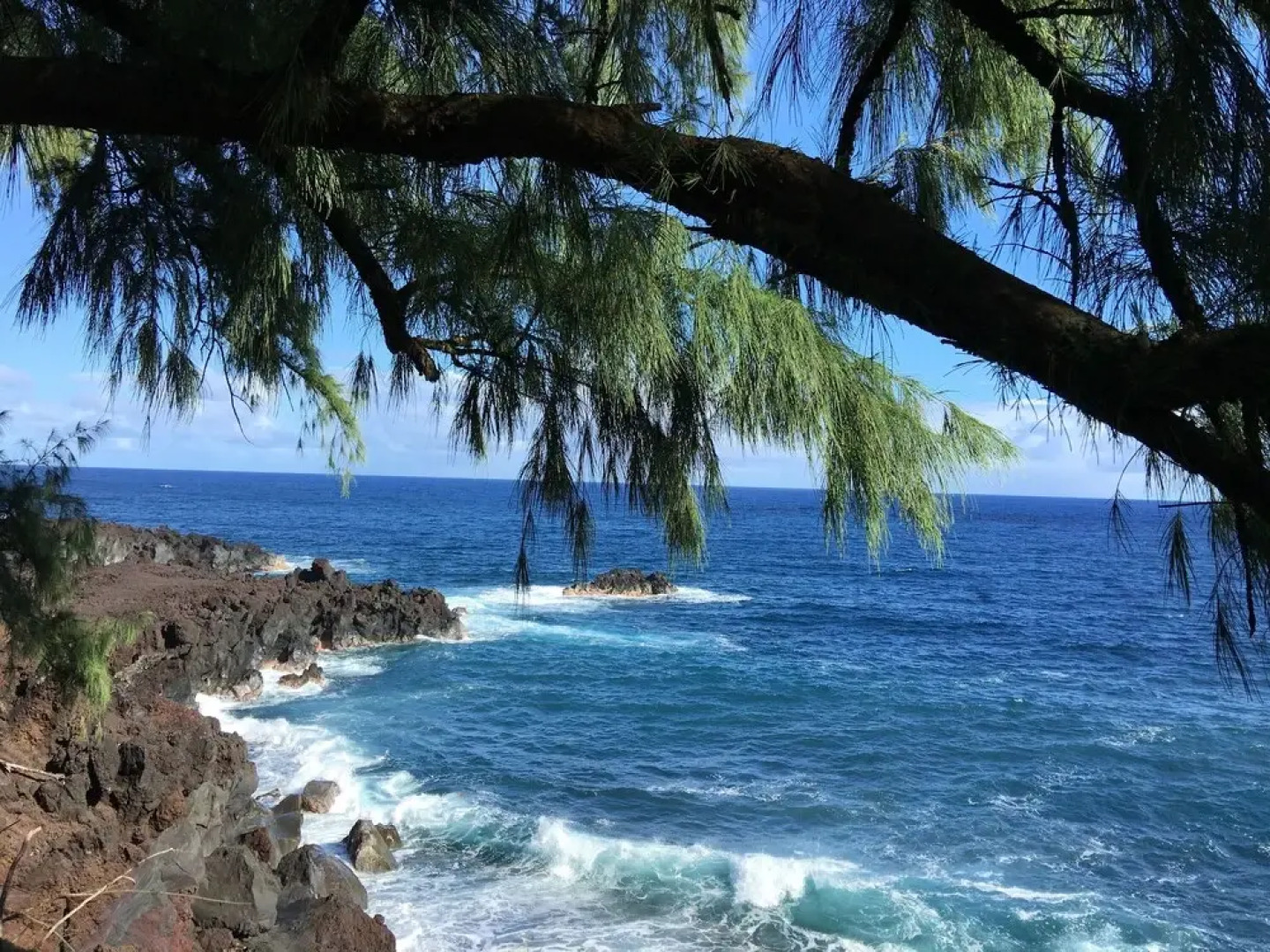 SweetSpotStay-Enchanted Grotto