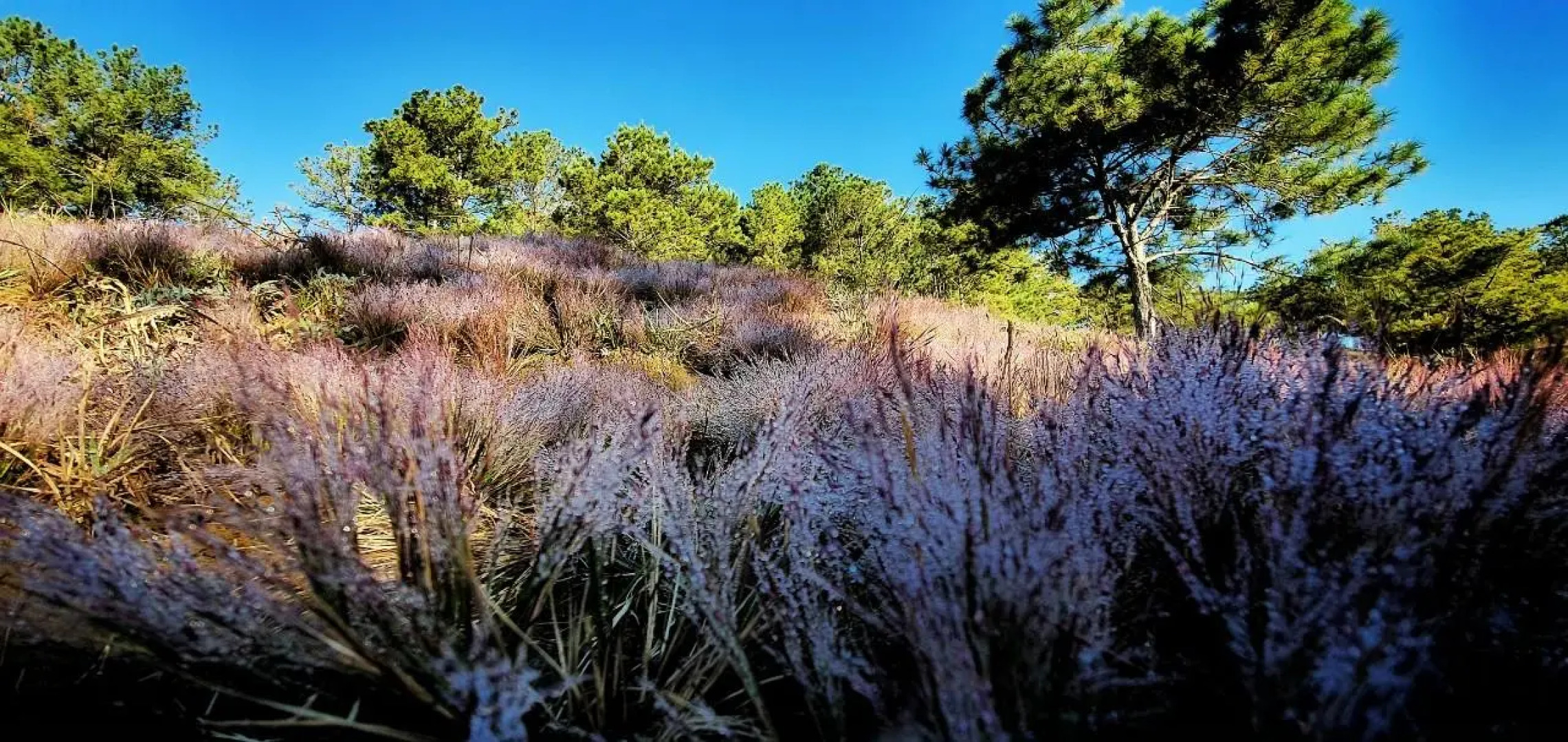 Dalat 24h Guest House