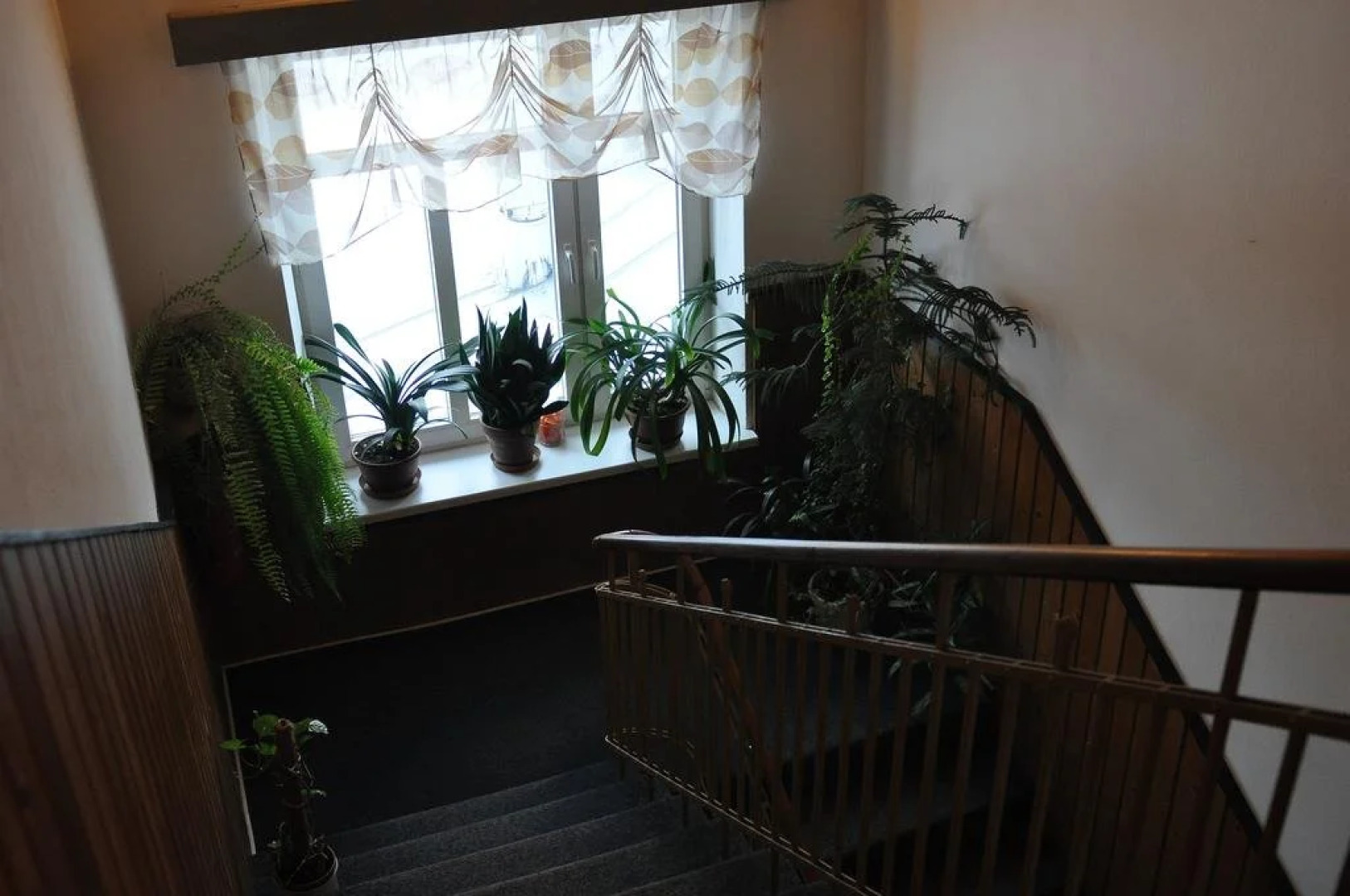 Hotel Praděd Rýmařov