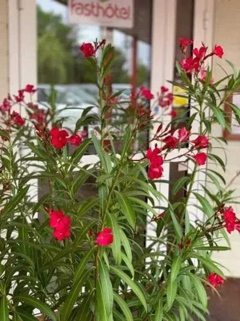 Fasthotel Saint-Amand-Montrond