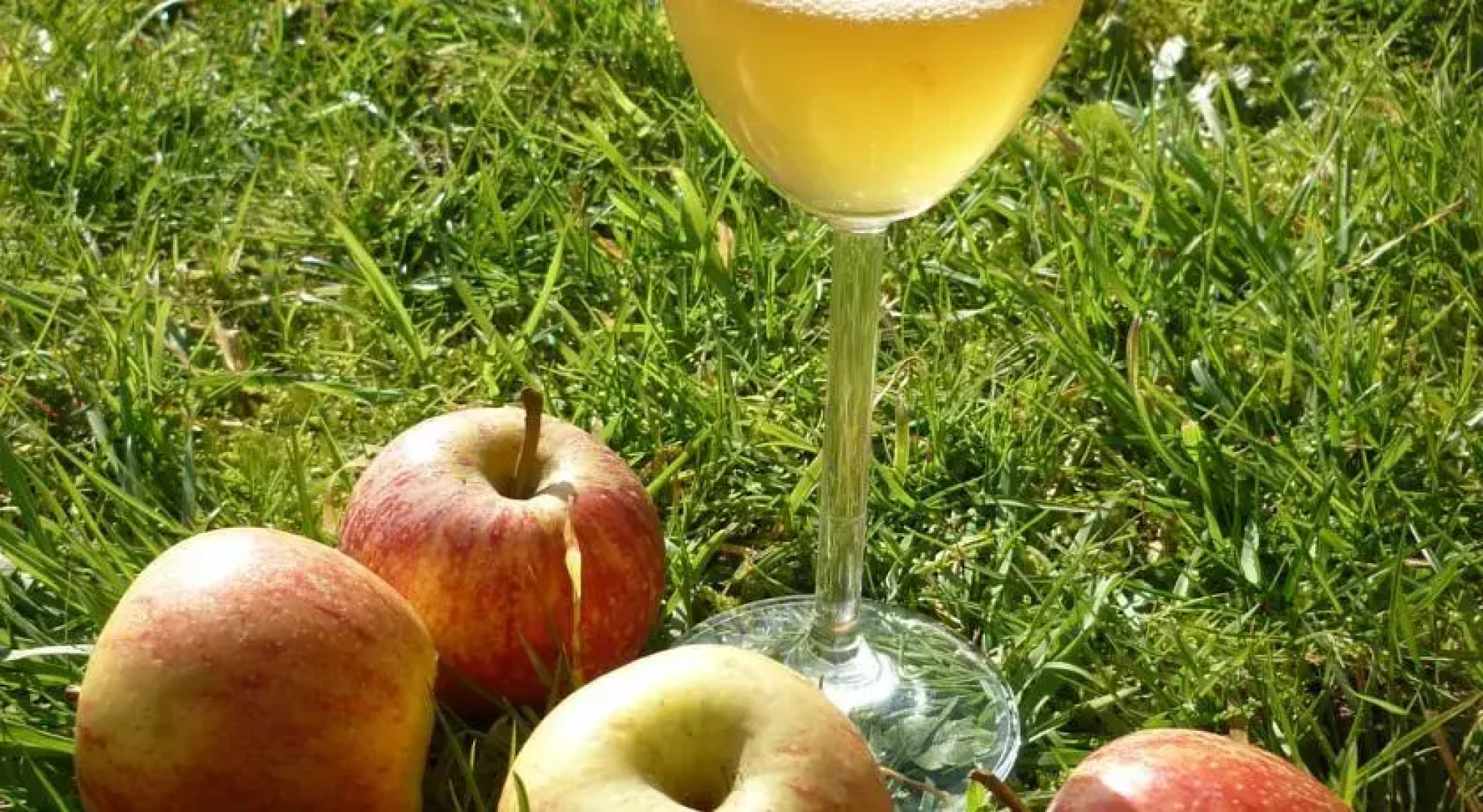 Ferme de la Guidonnerie