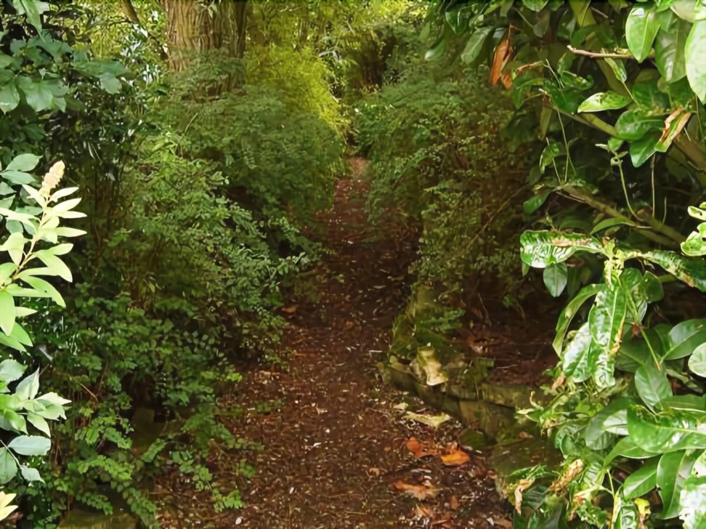 The Willows Bed & Breakfast