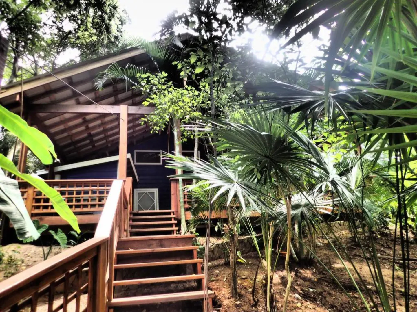 Blue Island Divers Casa Descanso