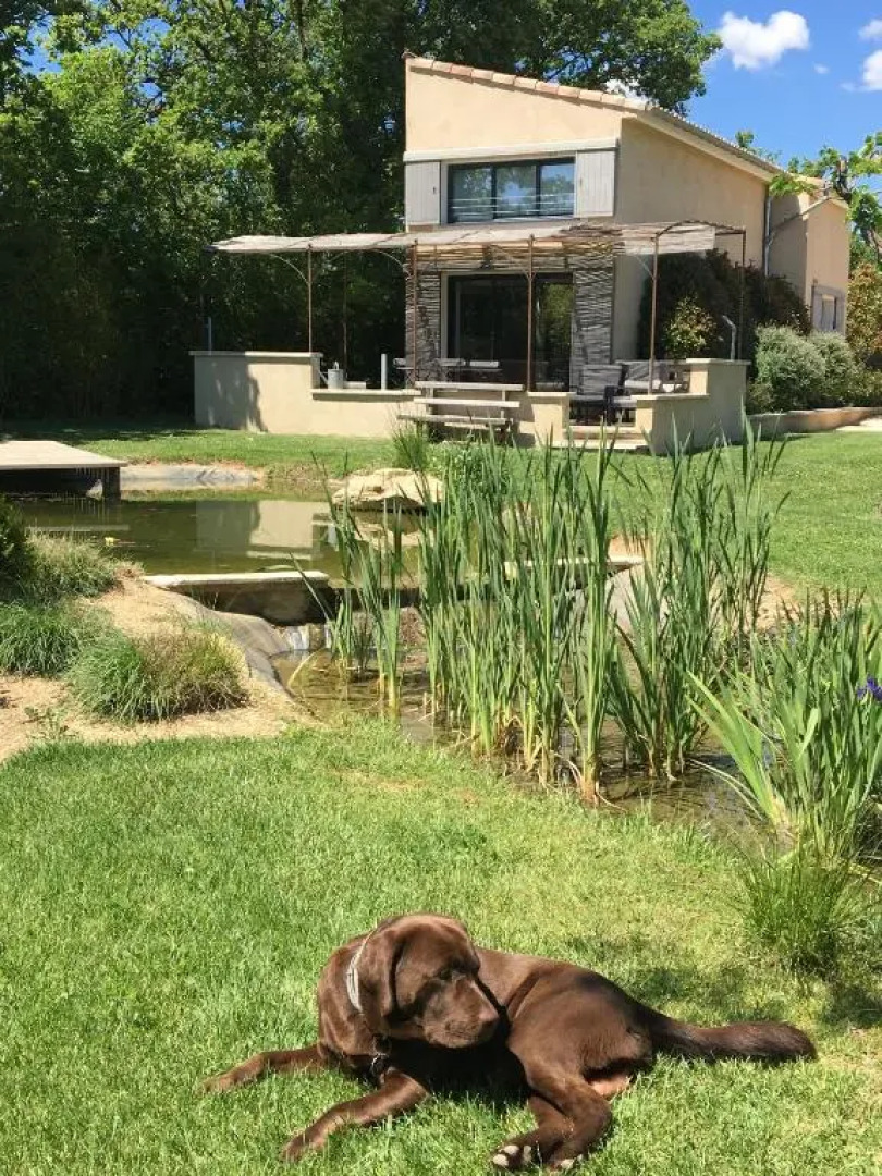 Lancien poulailler- The Old Hen House