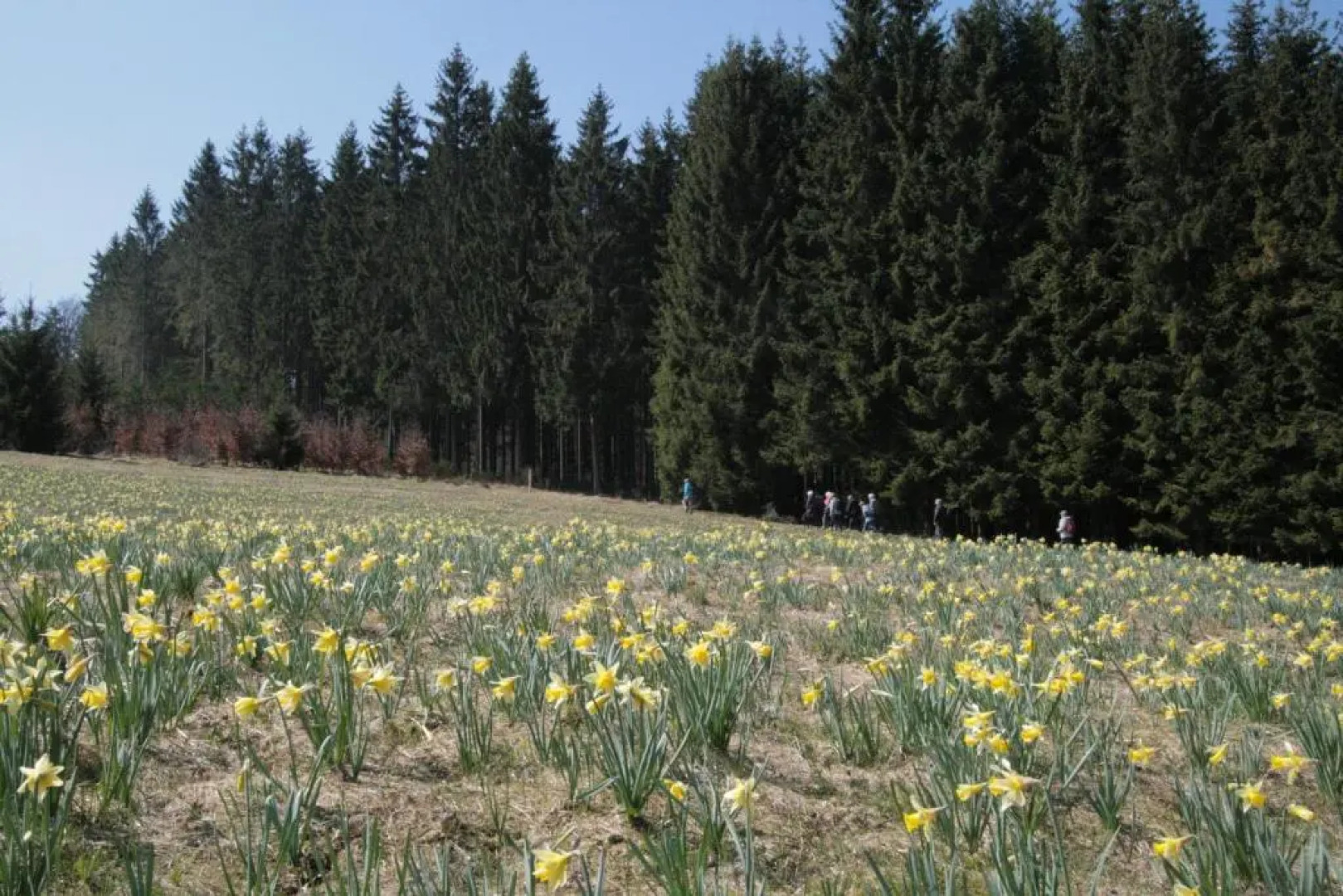 Hotel Restaurant Hollerather Hof