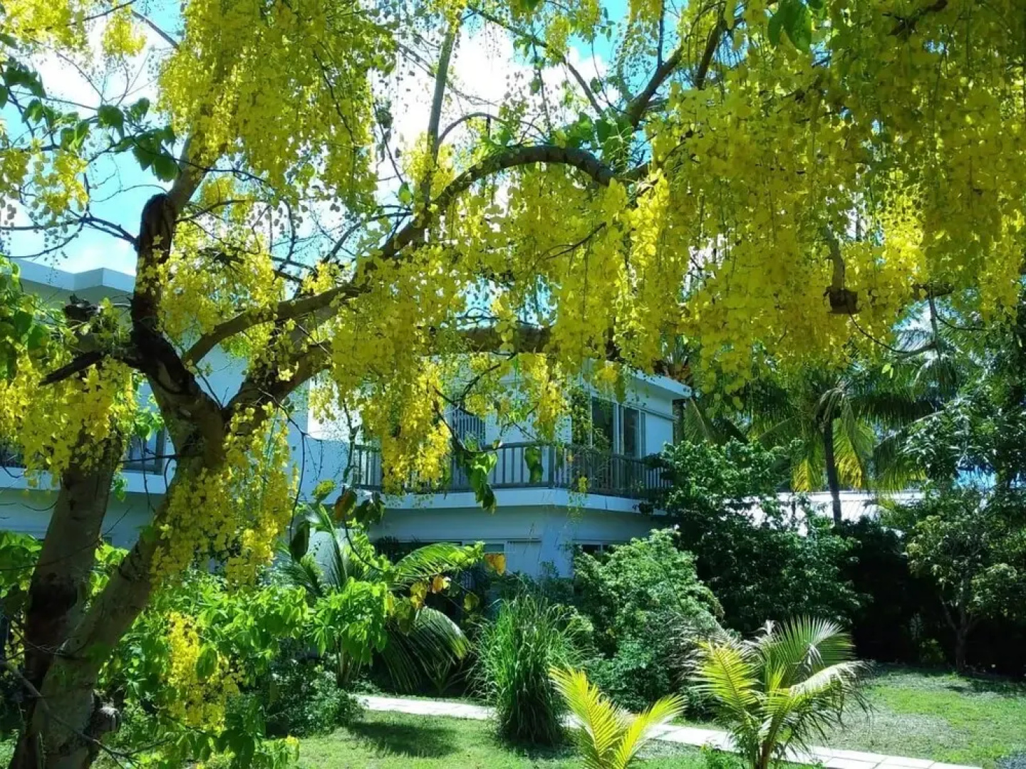 Cap Heureux Villas