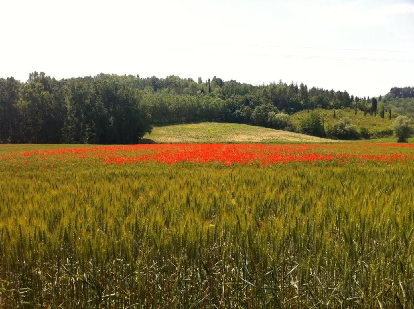 Casa Vacanze "La Farfalla"