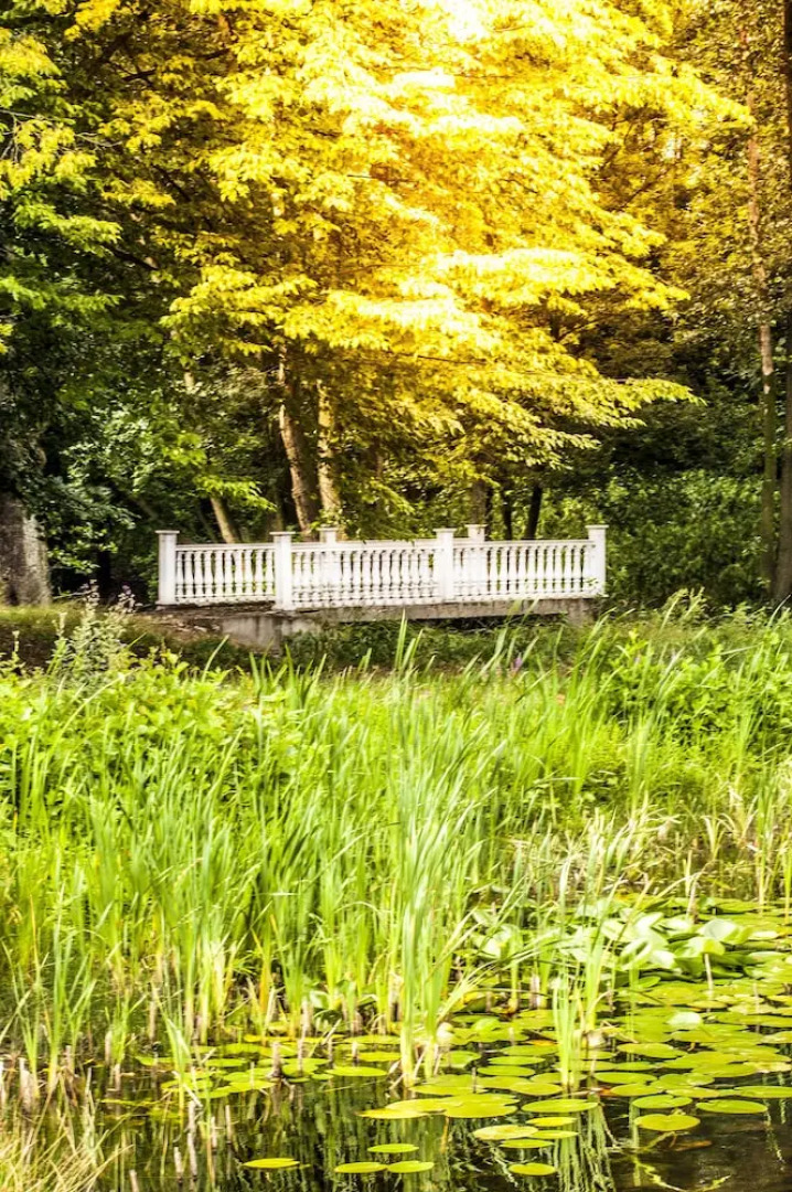 Różana Rezydencja Wellness - Adults Only