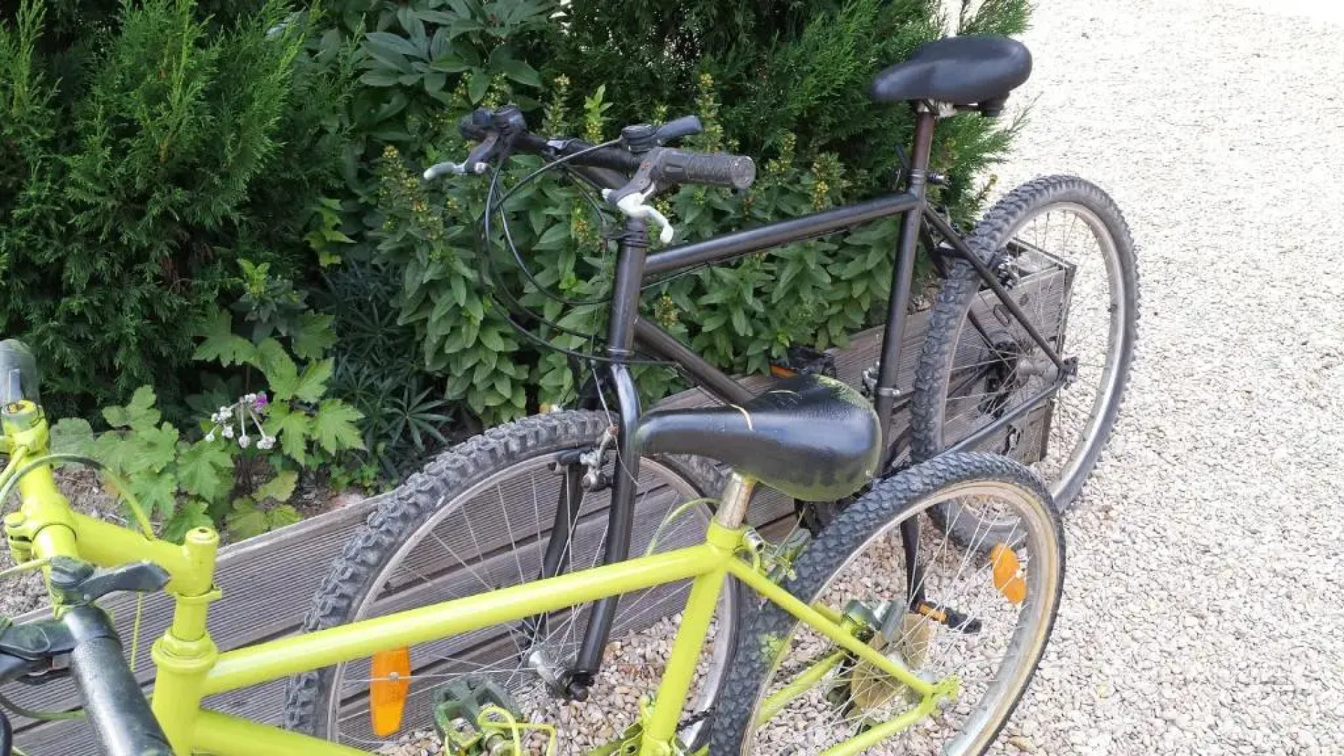 Les Jardins de la Tuilerie