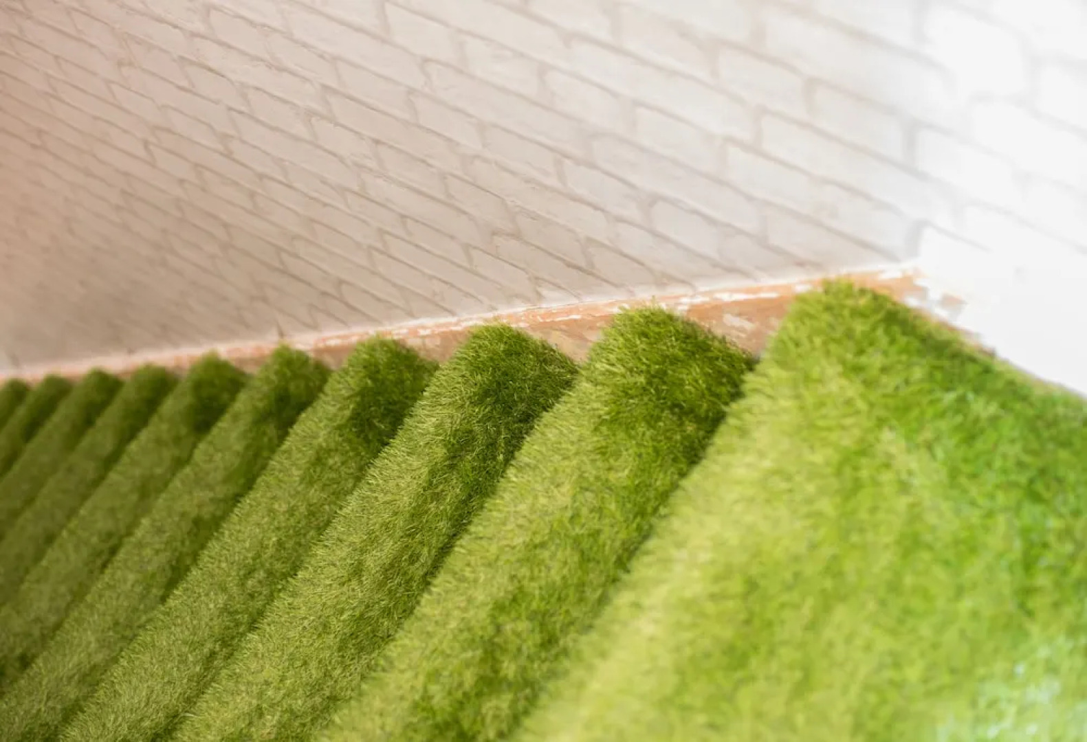 James Place @ Bike Park Wales and The Brecon Beacons