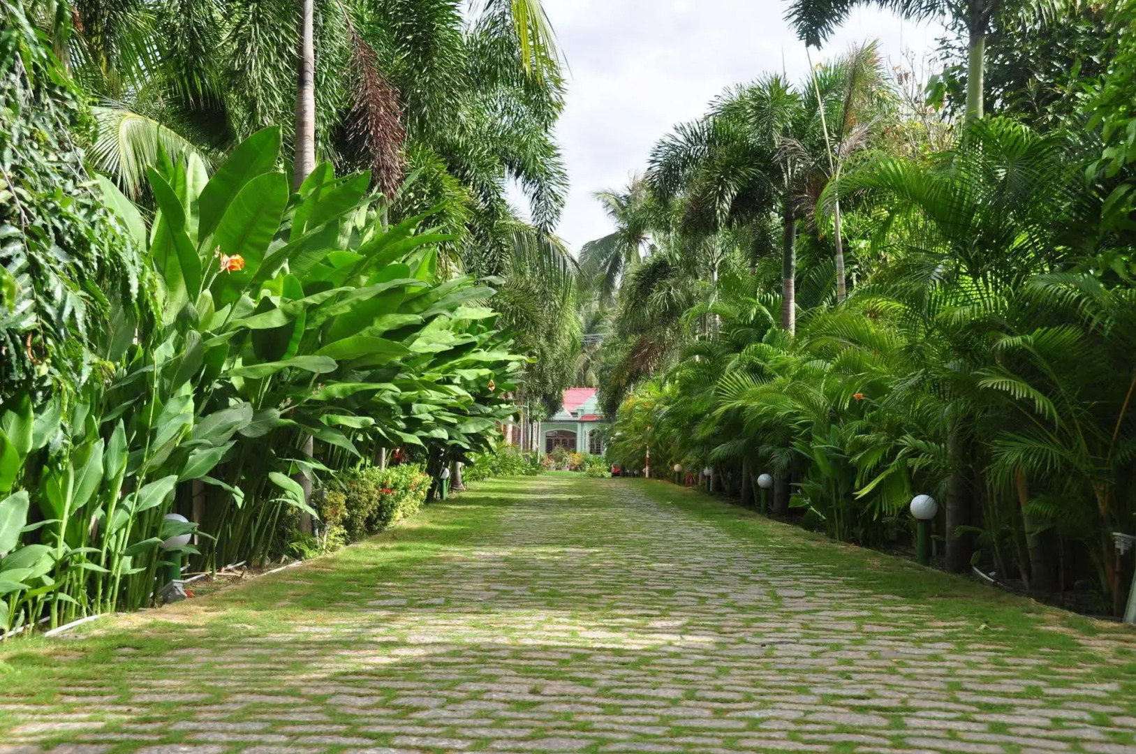 Mana Muine Beach Resort