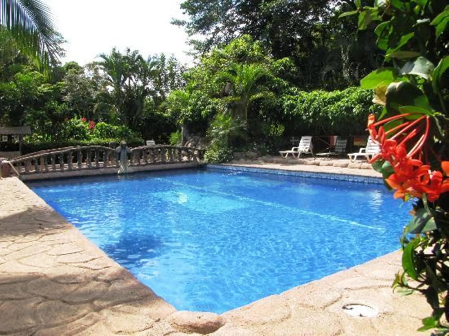 Ara Ambigua Lodge