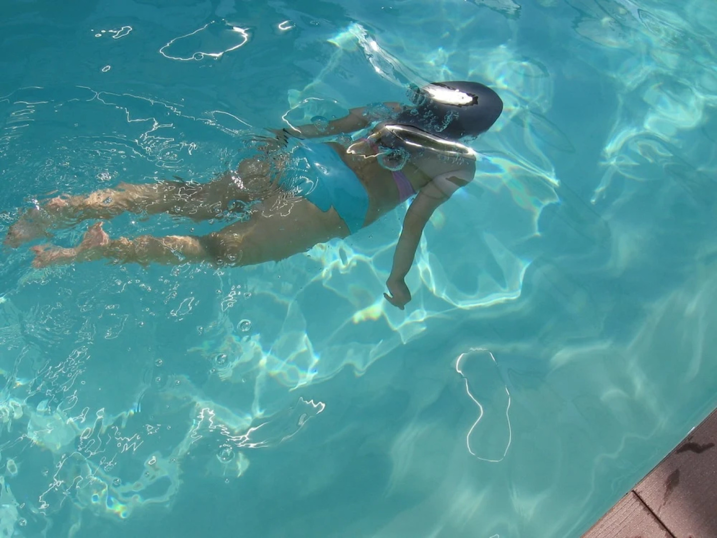 Au Domaine des Camelias