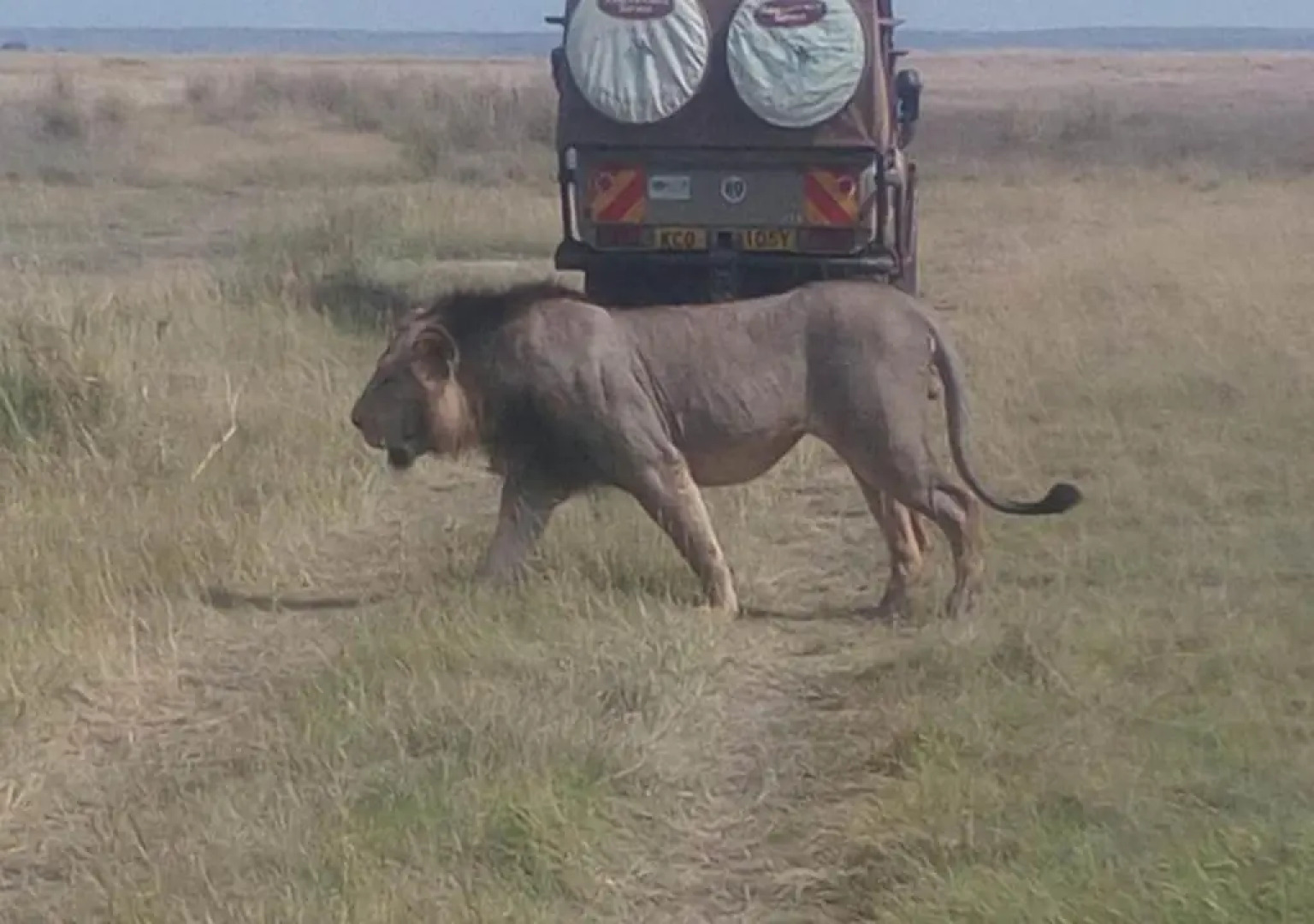 AA Lodge Maasai Mara