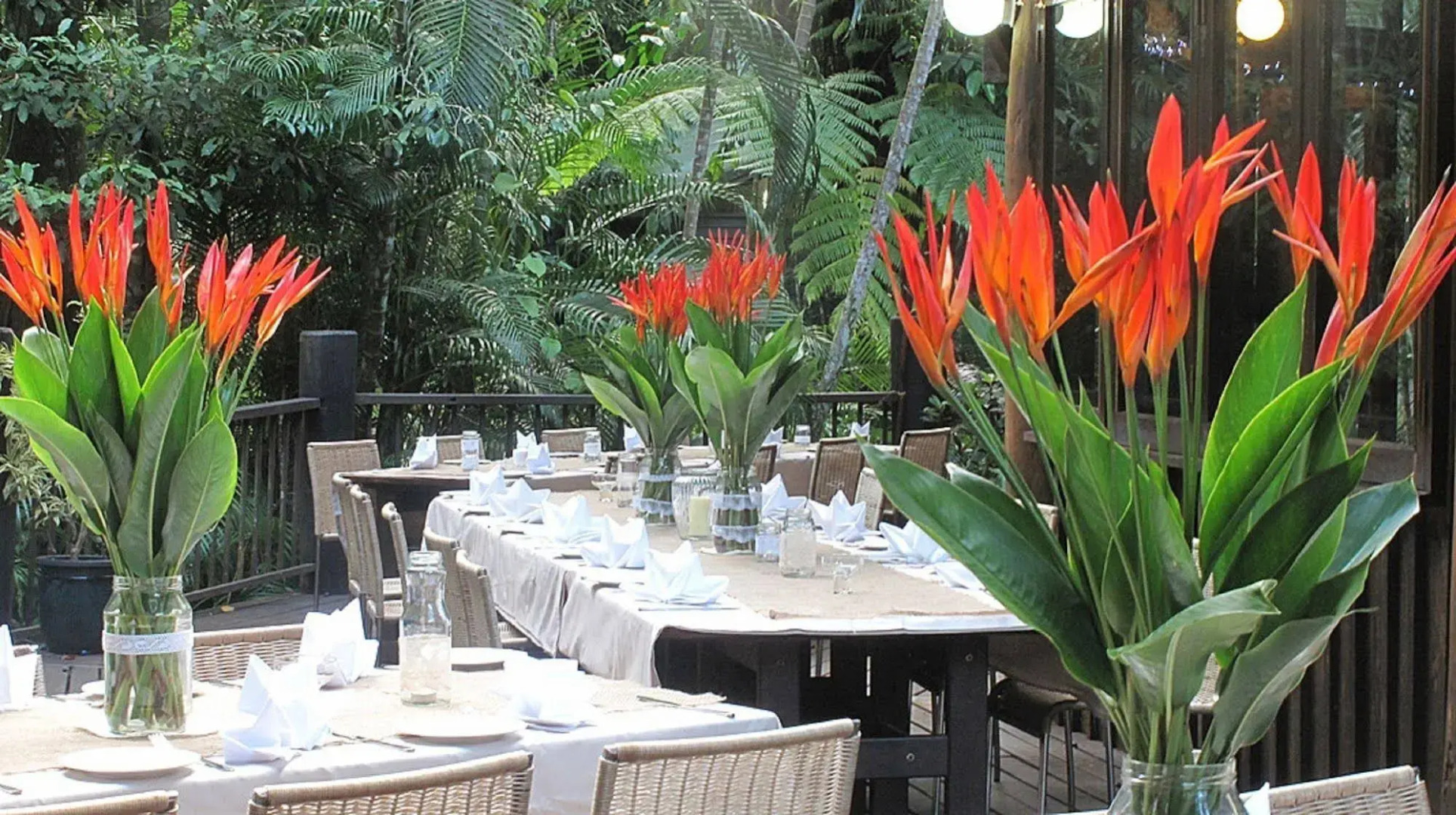 Ferntree Rainforest Lodge