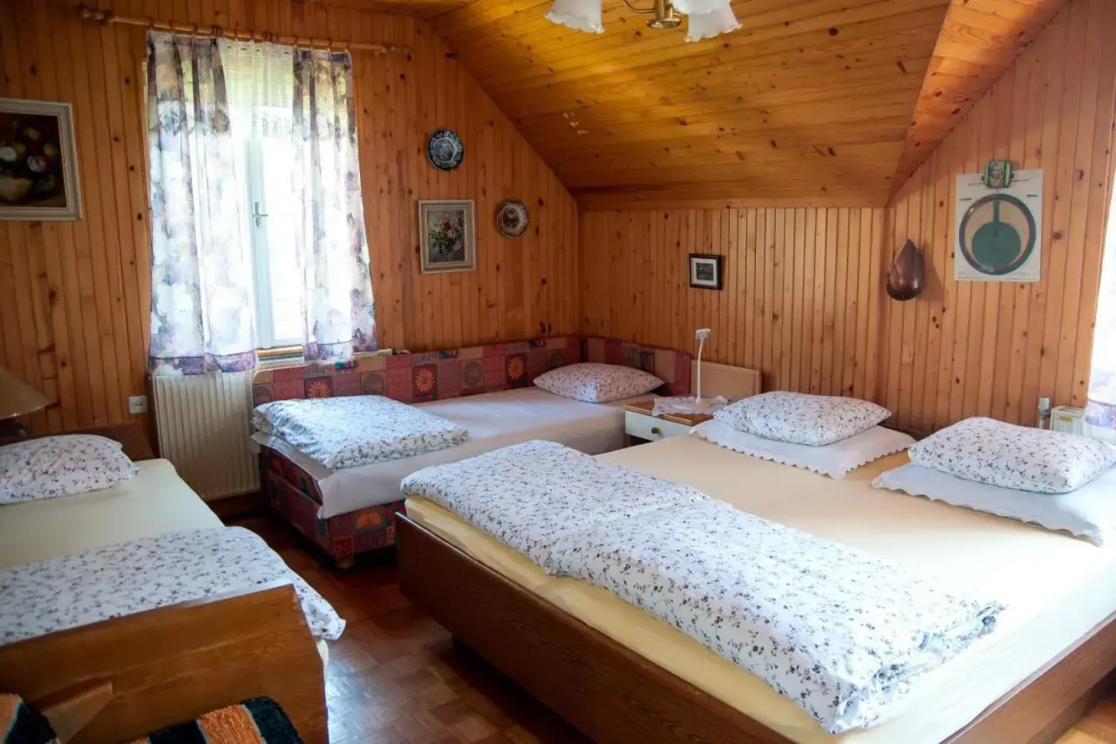 Sovica