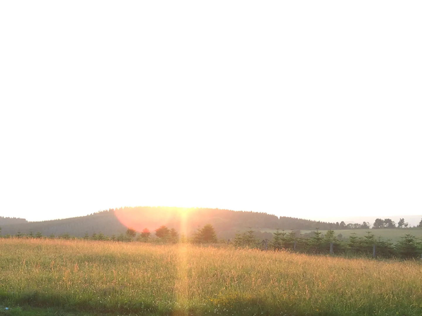Der schöne Asten - Resort Winterberg