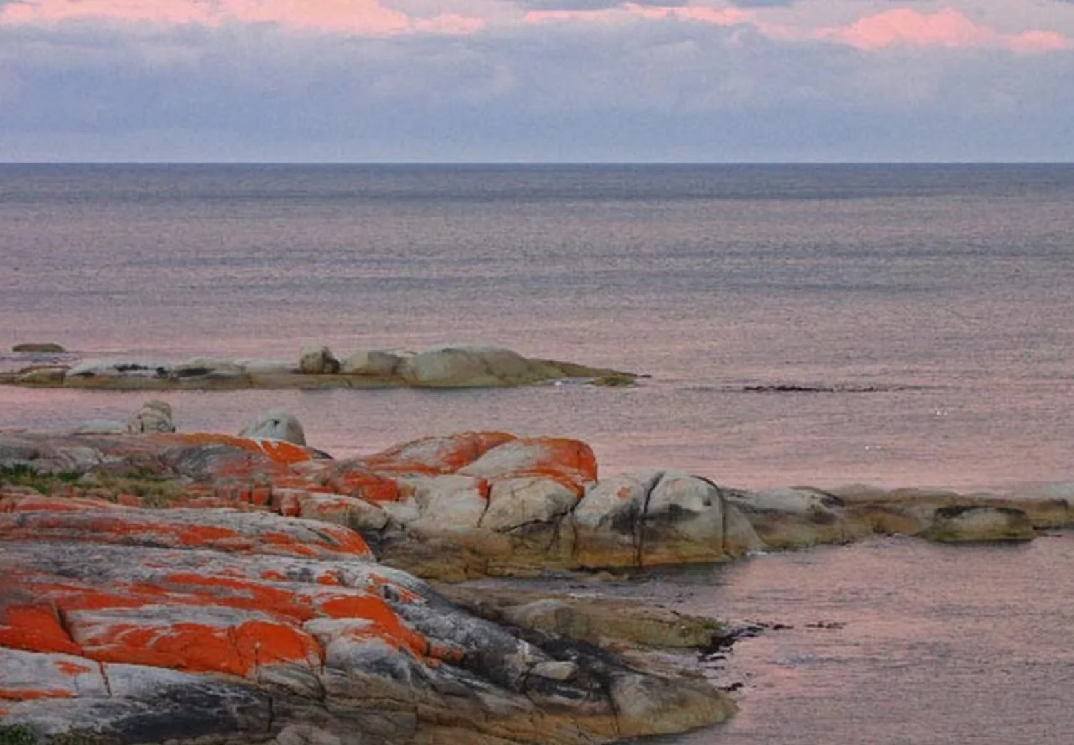 Suntrap Cove Bicheno