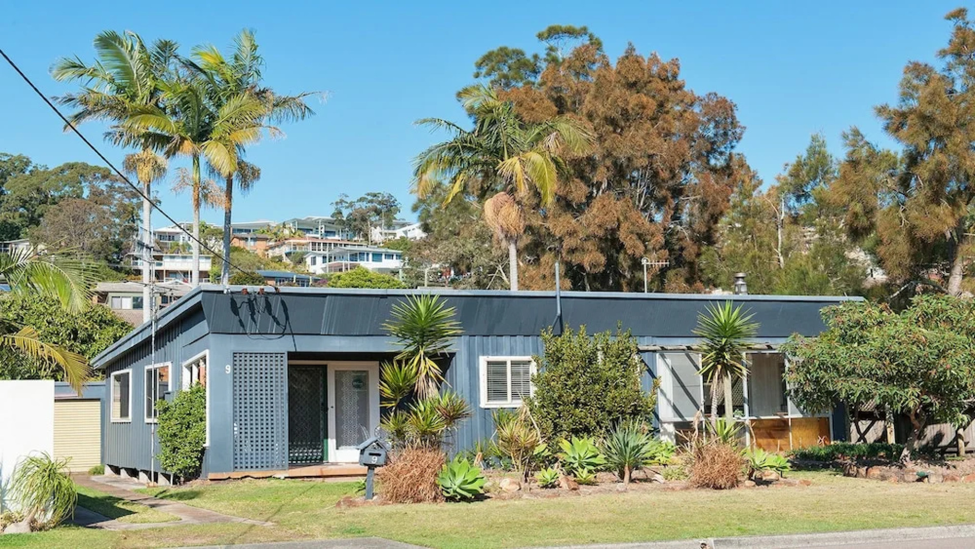Sandy Point Road, 9, Sea Urchin