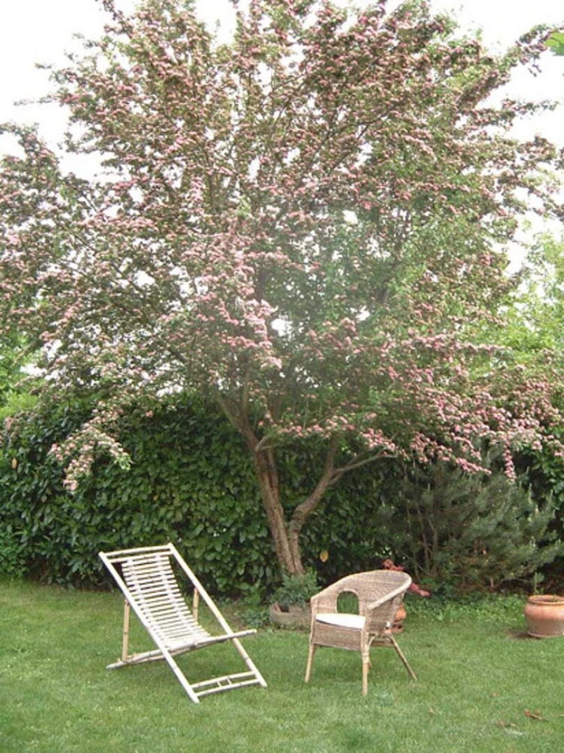 Apartment With 2 Bedrooms in Carrù, With Enclosed Garden - 45 km From