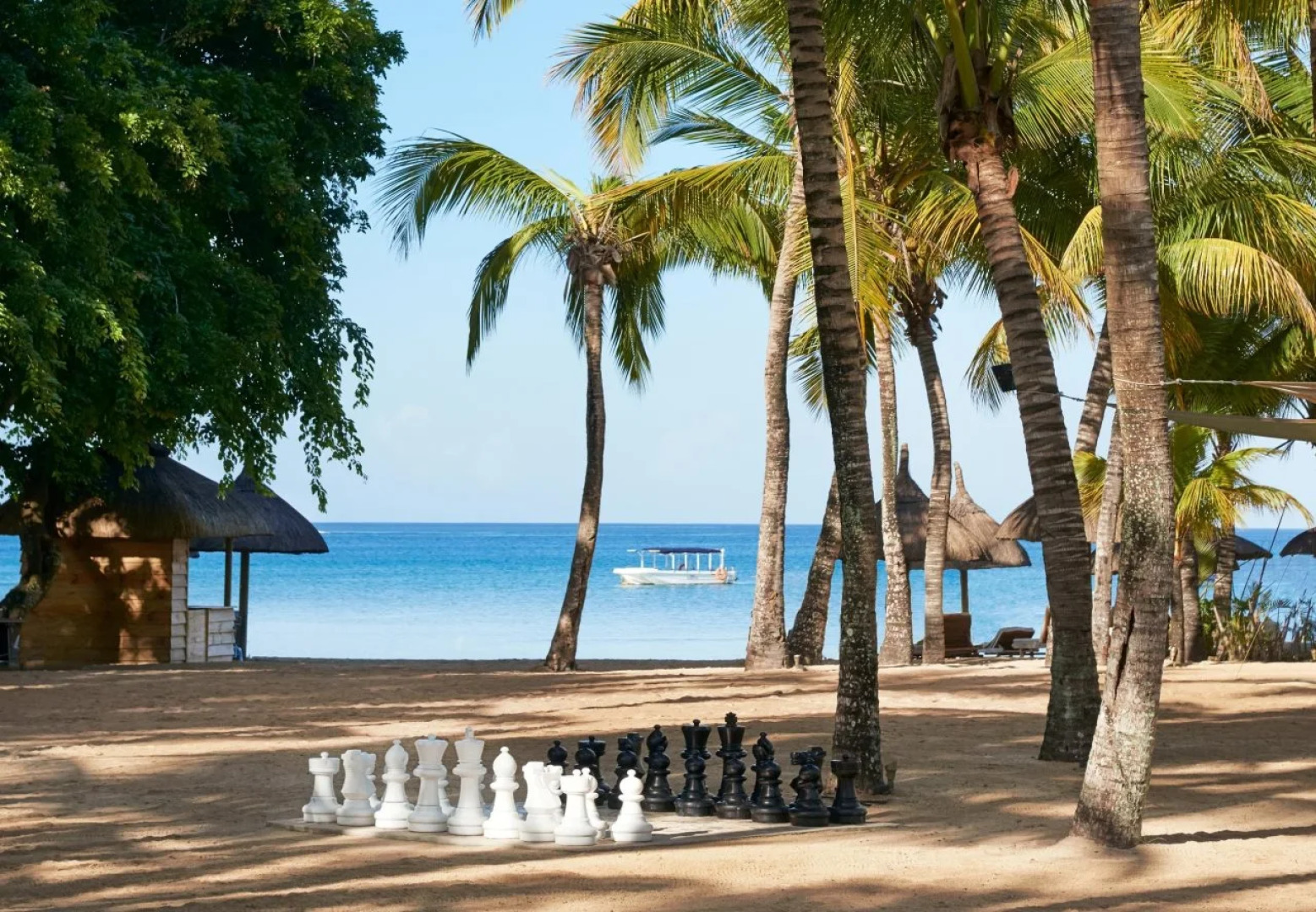 The Ravenala Attitude