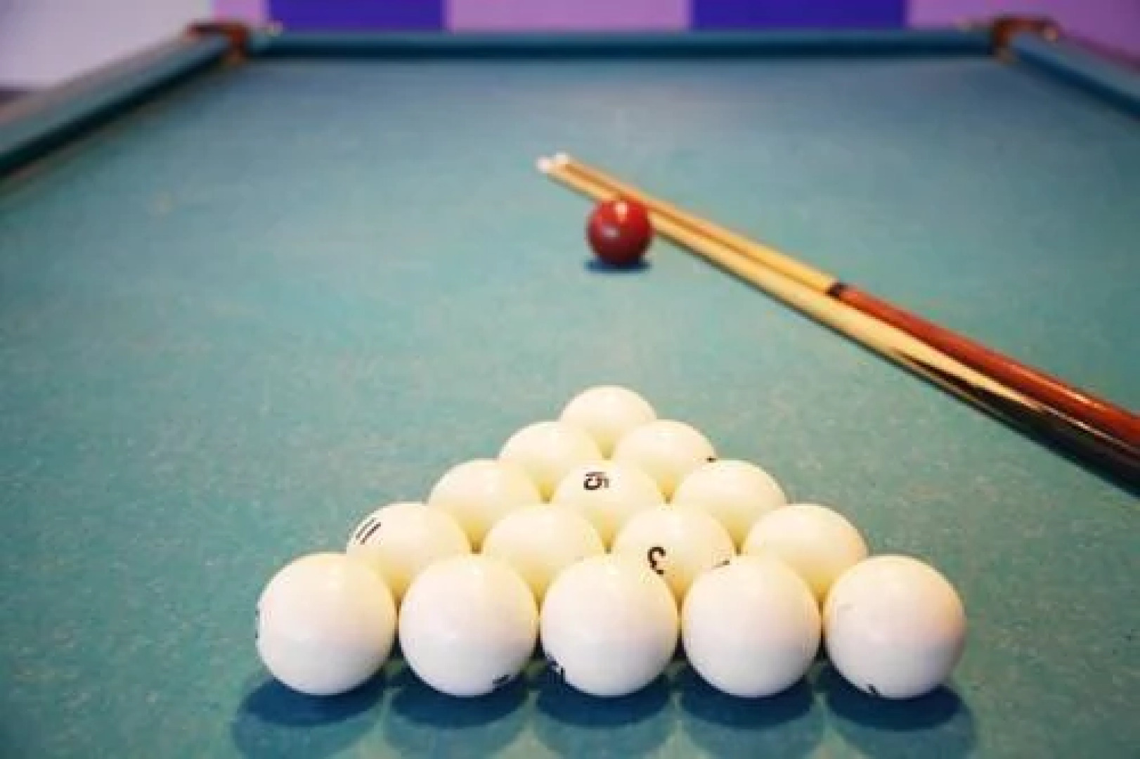 Отель Сититель Ольгино 