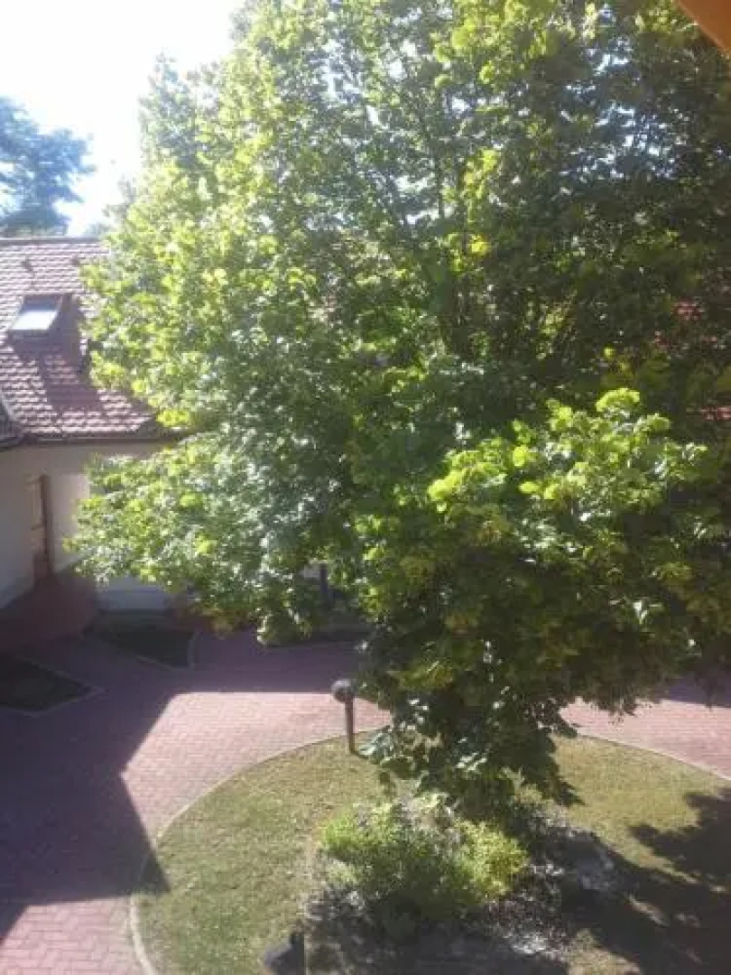 Apartment Nagelj