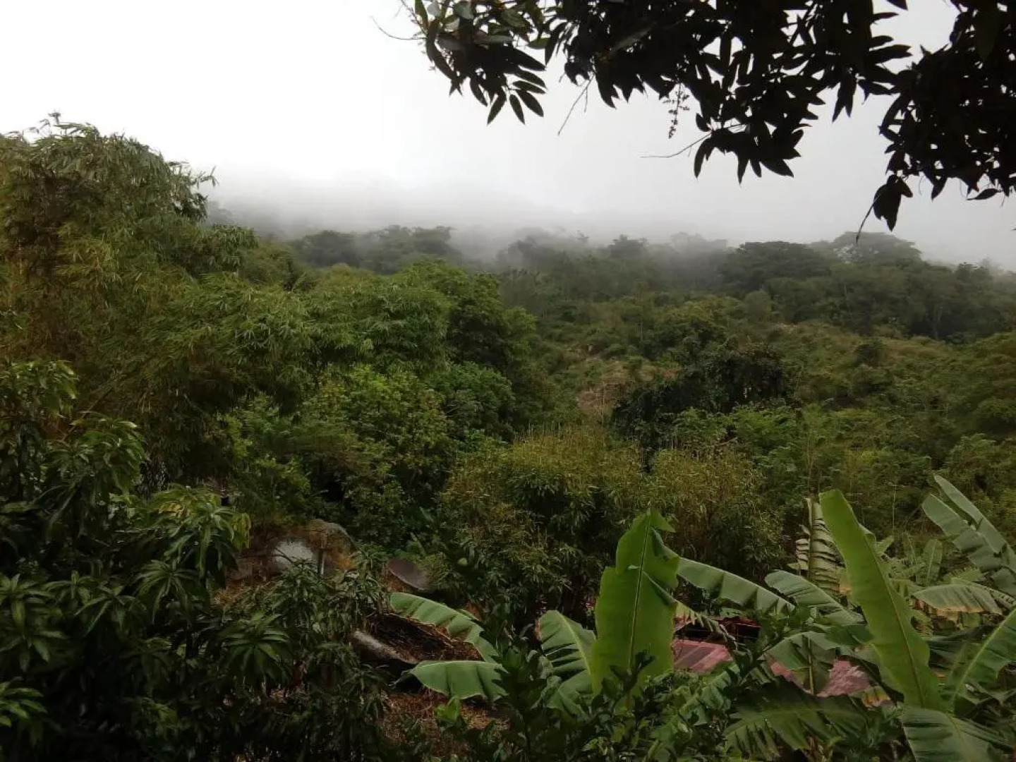 Hostel Finca La Gordita