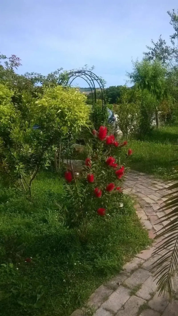 Agriturismo Bassarì