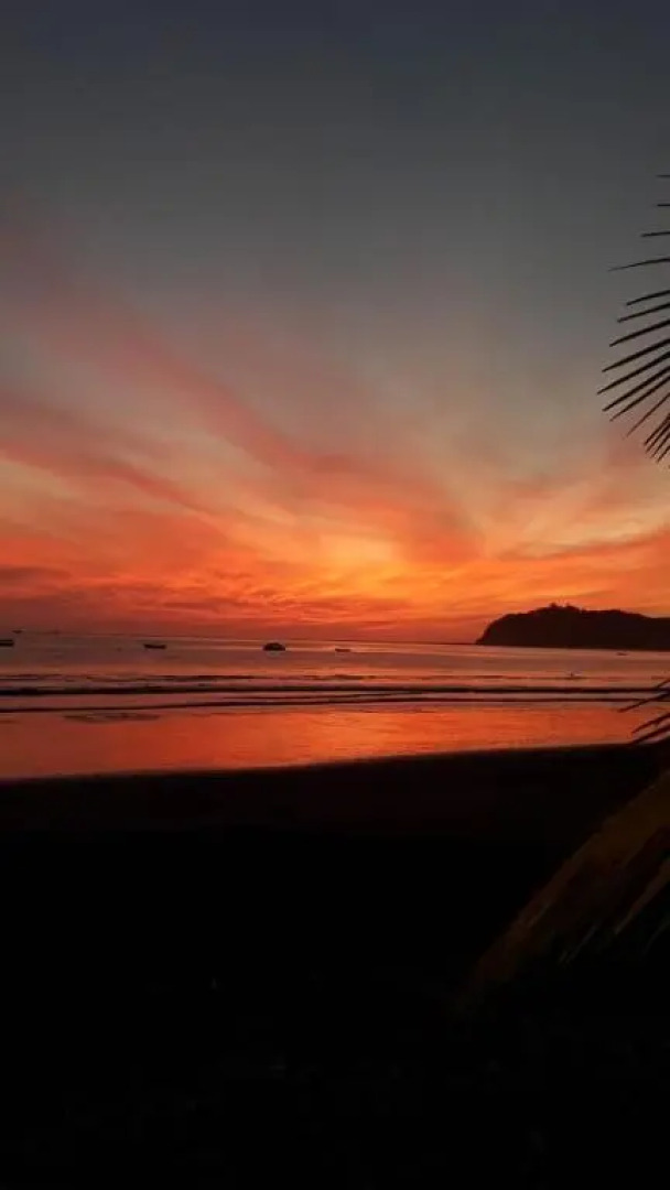 Fenix Hotel - On the Beach