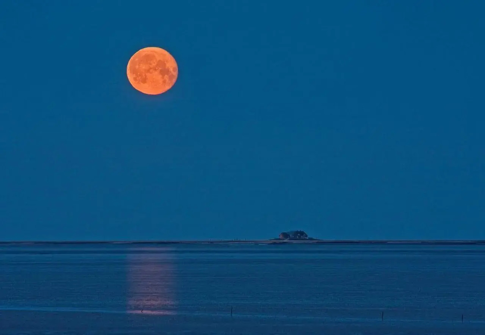 Ferienwohnungen am Aussendeich