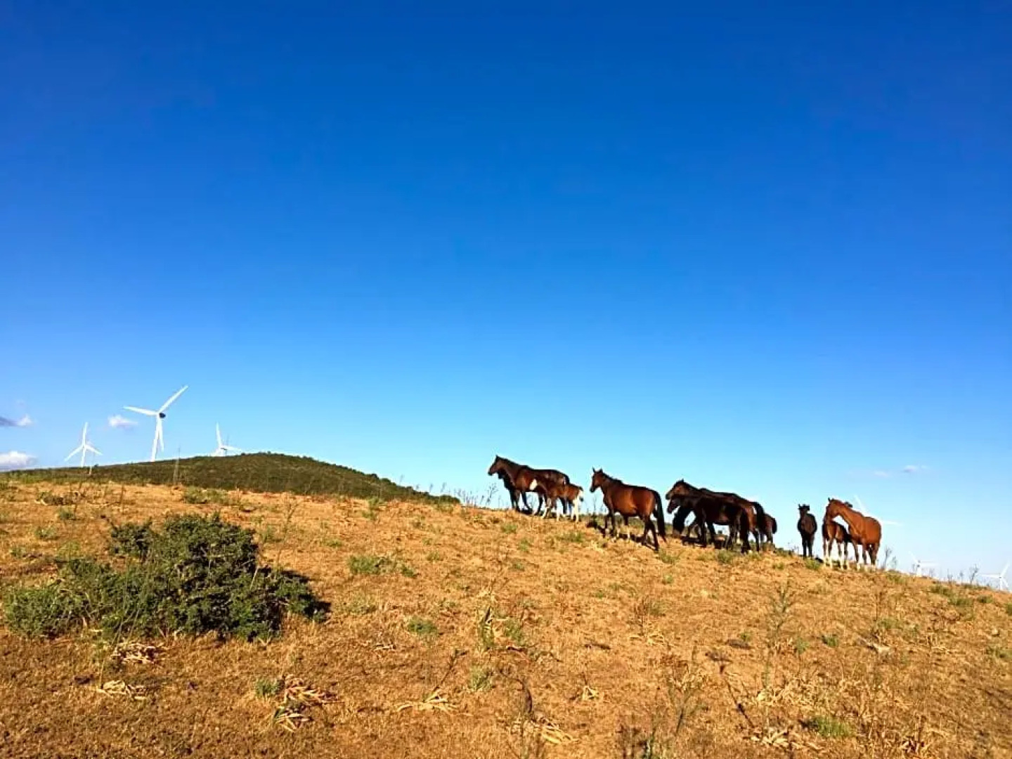 Sardinia Climbing House