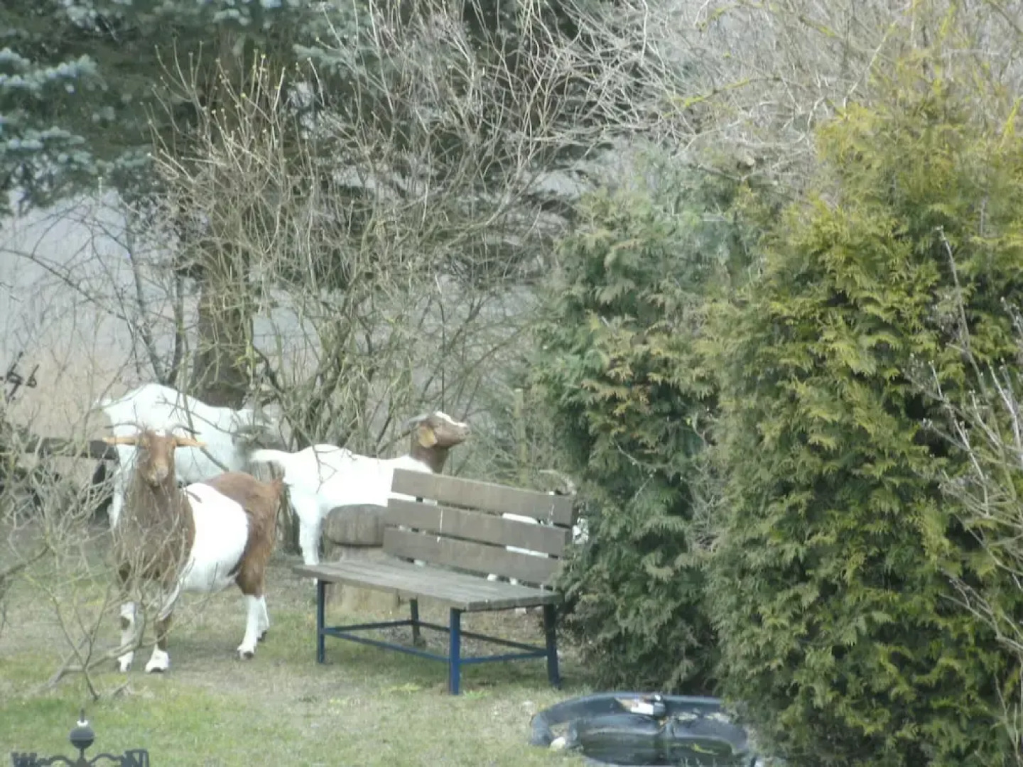 Charming Apartment in Morbach Germany With Terrace