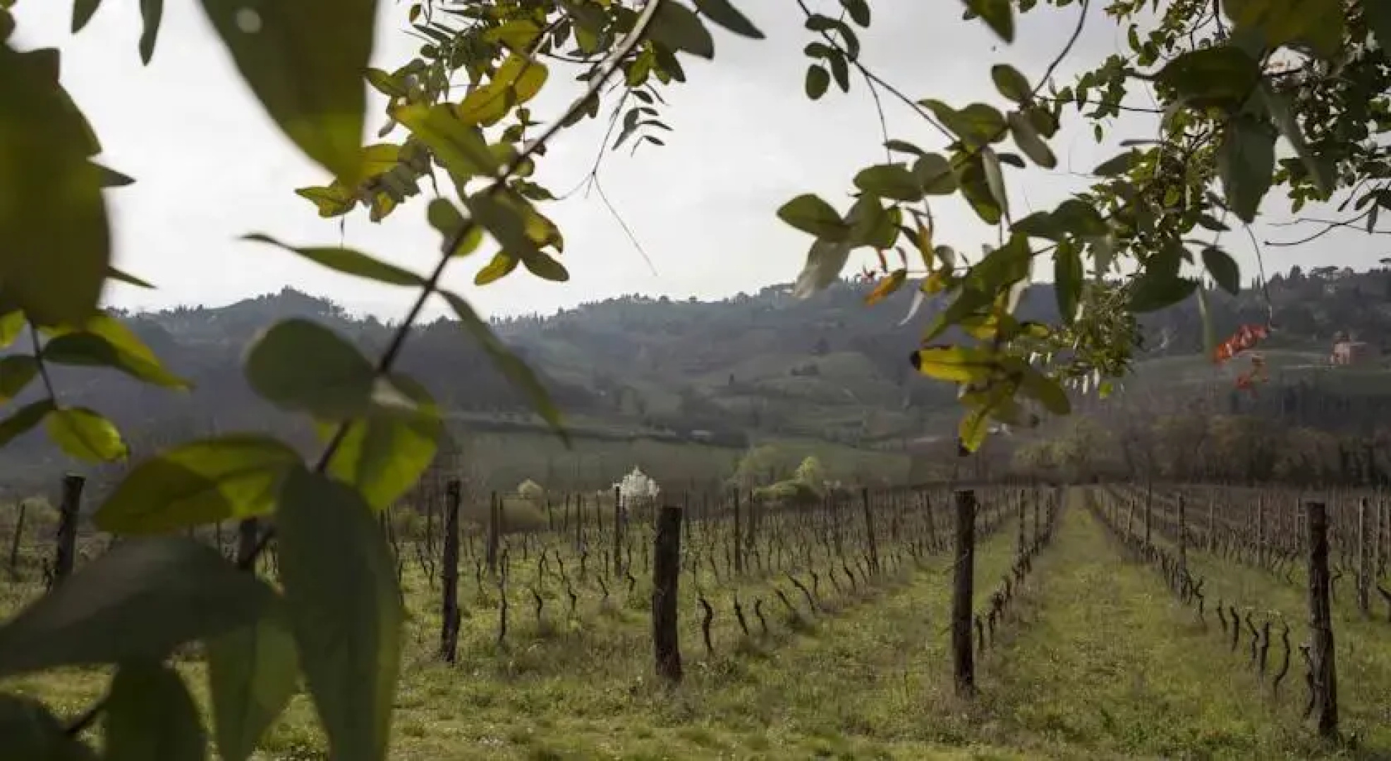 Agriturismo Tenuta Serravalle