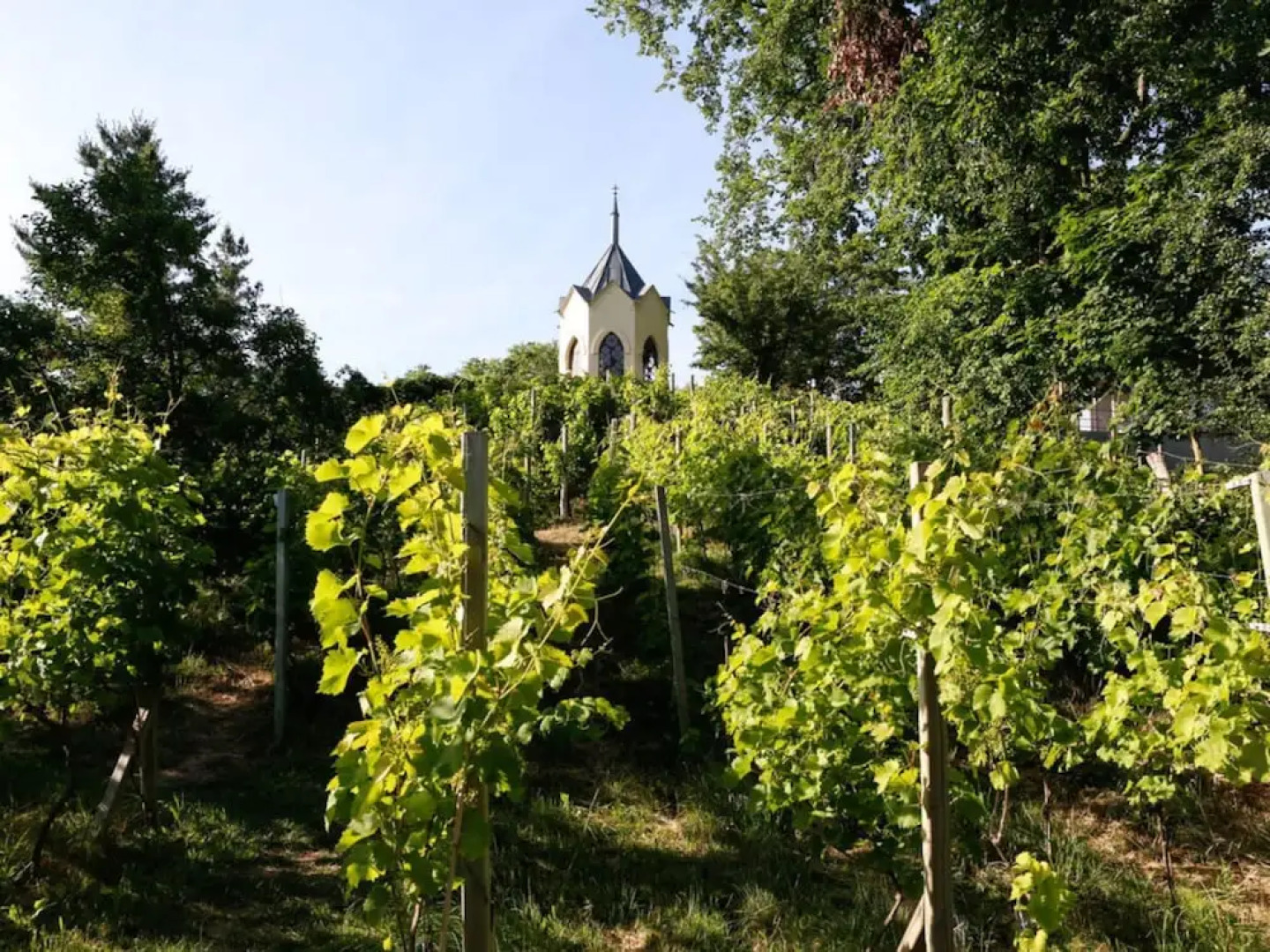 Holiday Apartment in Werder