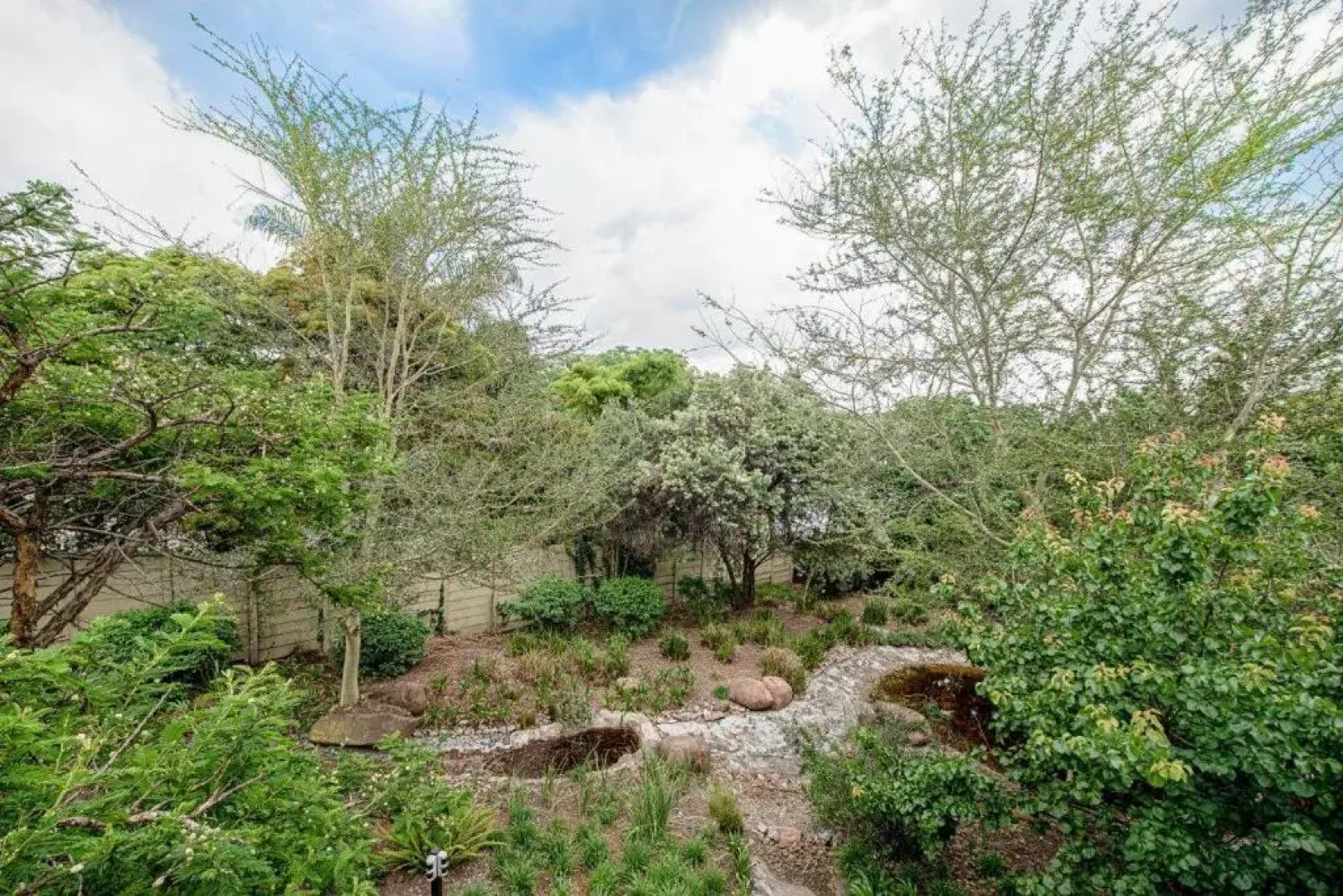 Wild Olive Executive Suite