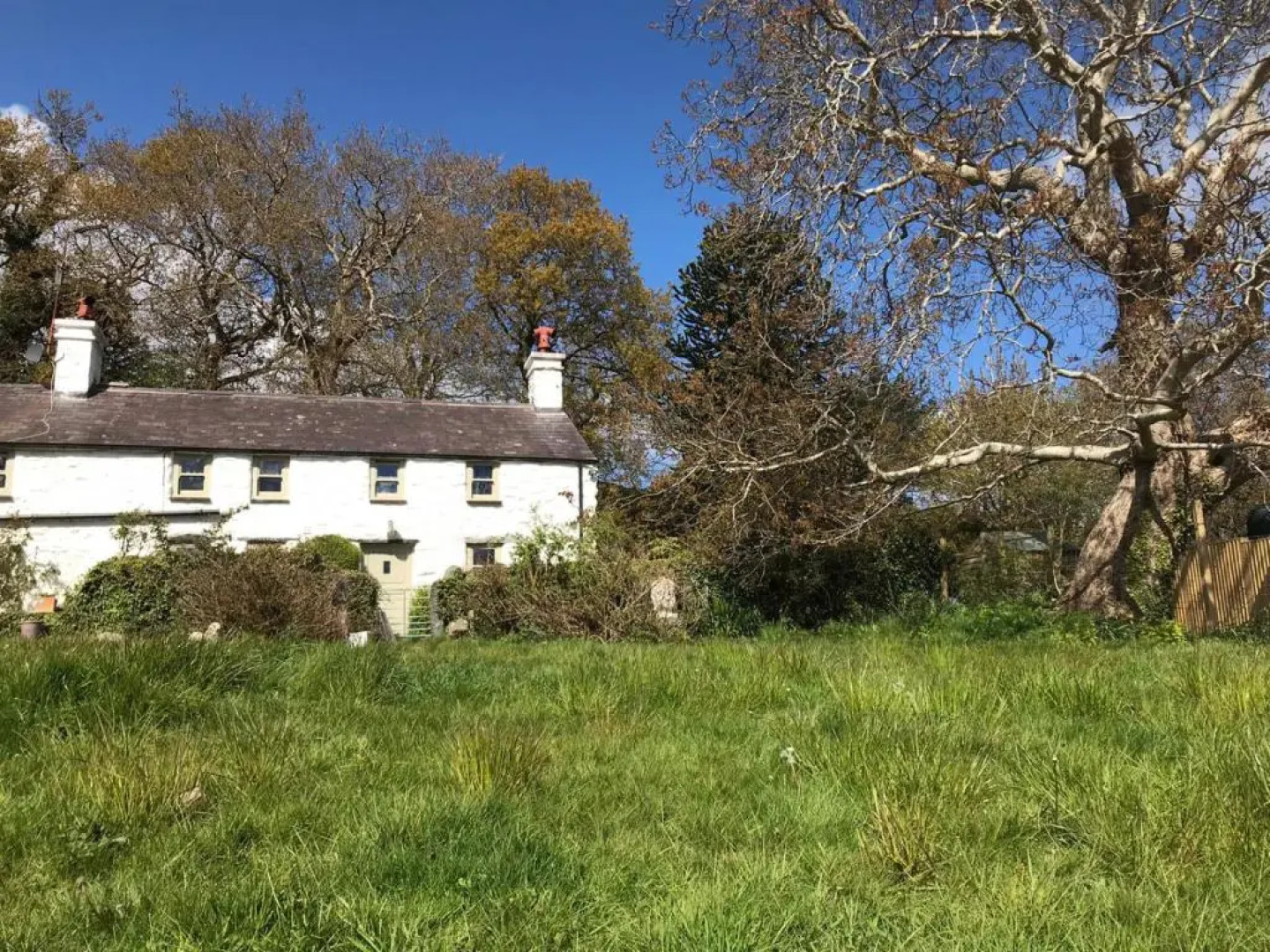 Idlewild Animal Sanctuary Farmhouse Stay - Charity