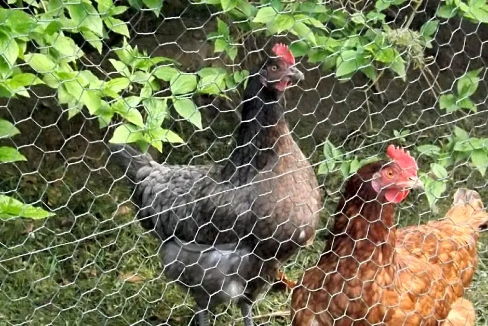 Au coeur de soissons 1