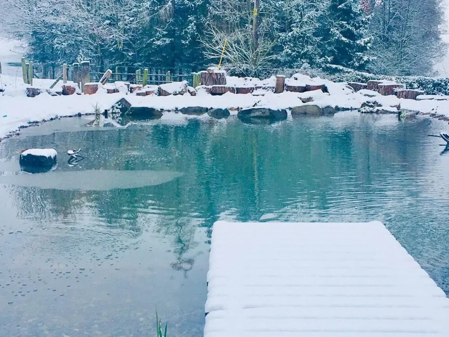 Charming Farmhouse, Natural Swimming Pool