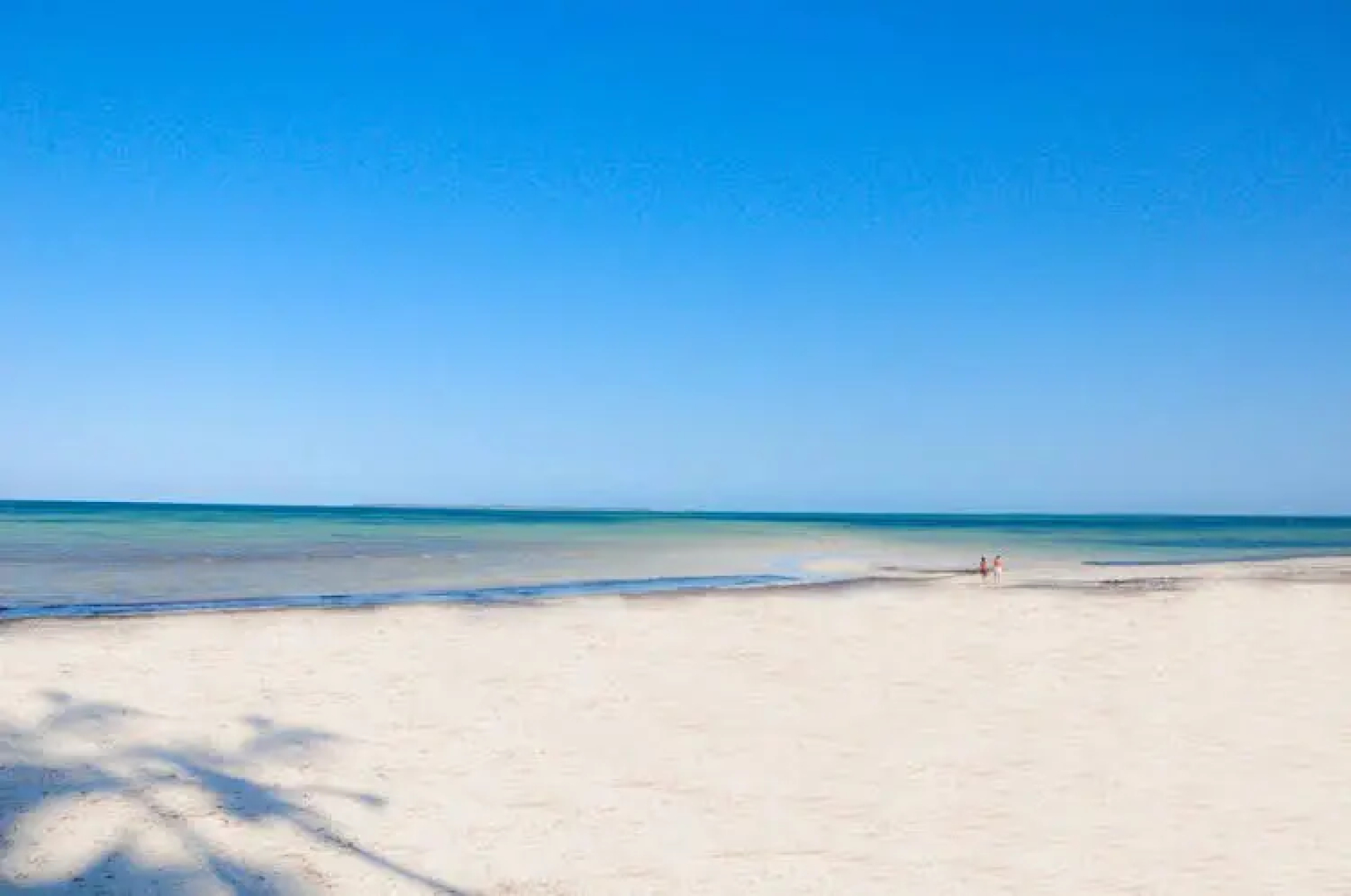 The Beach Lodge